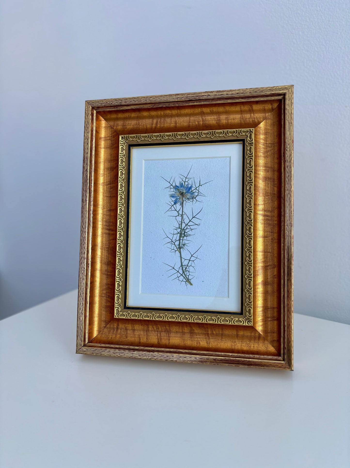 Nigelle - Cadre de Fleurs Pressées