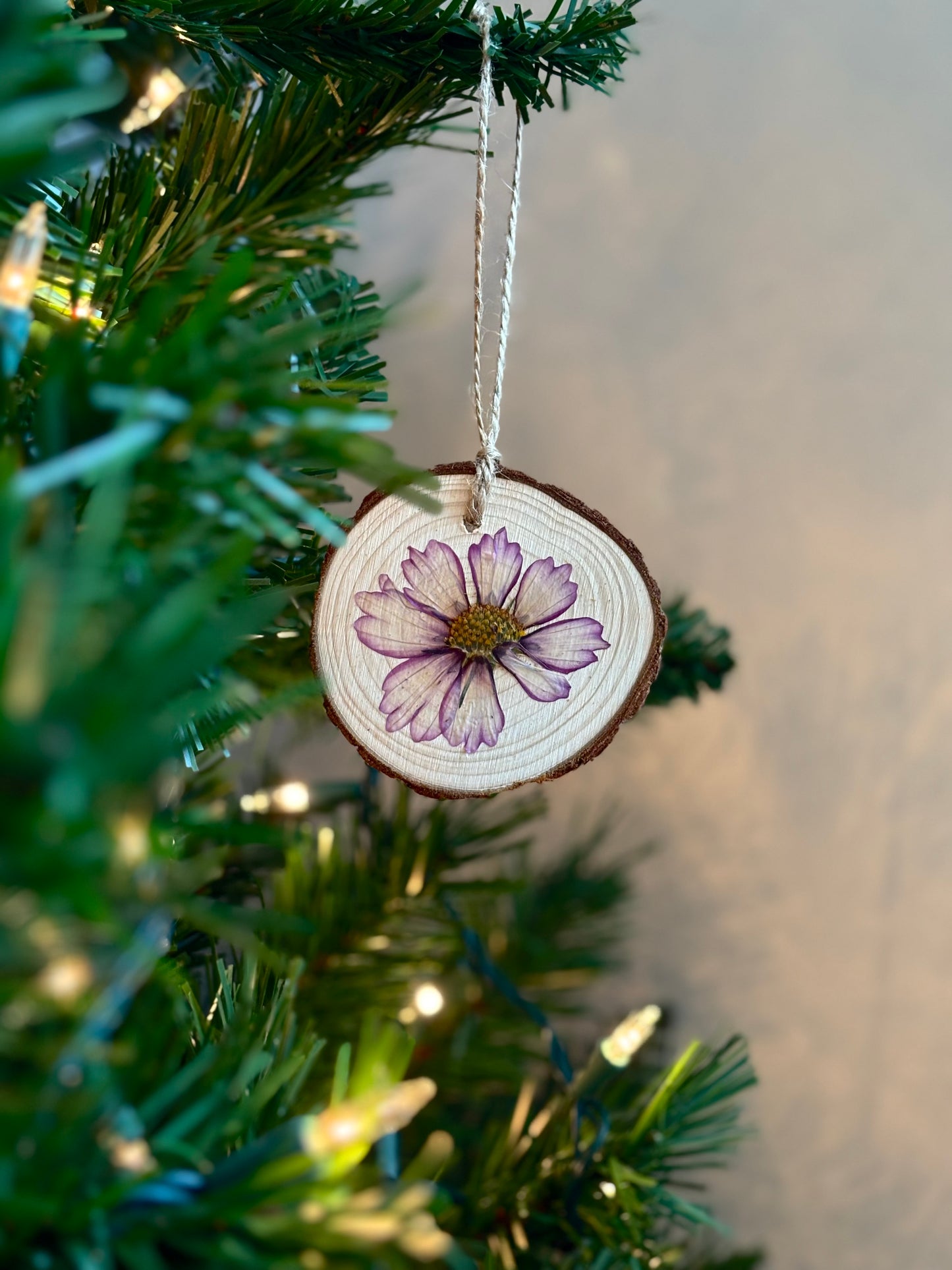 Ornement Fleurs Pressées - Cosmos