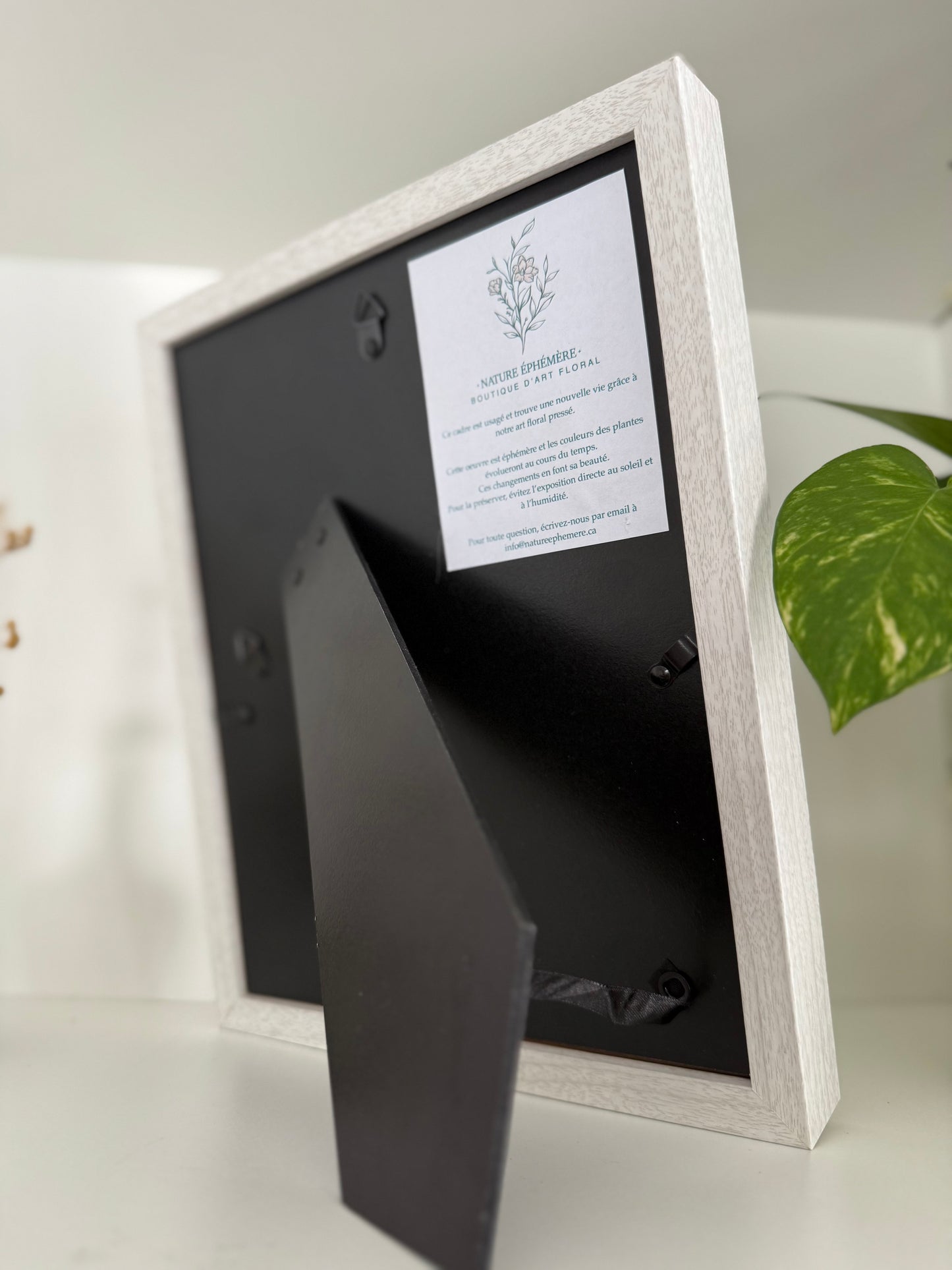 Fern - Pressed Flower Frame