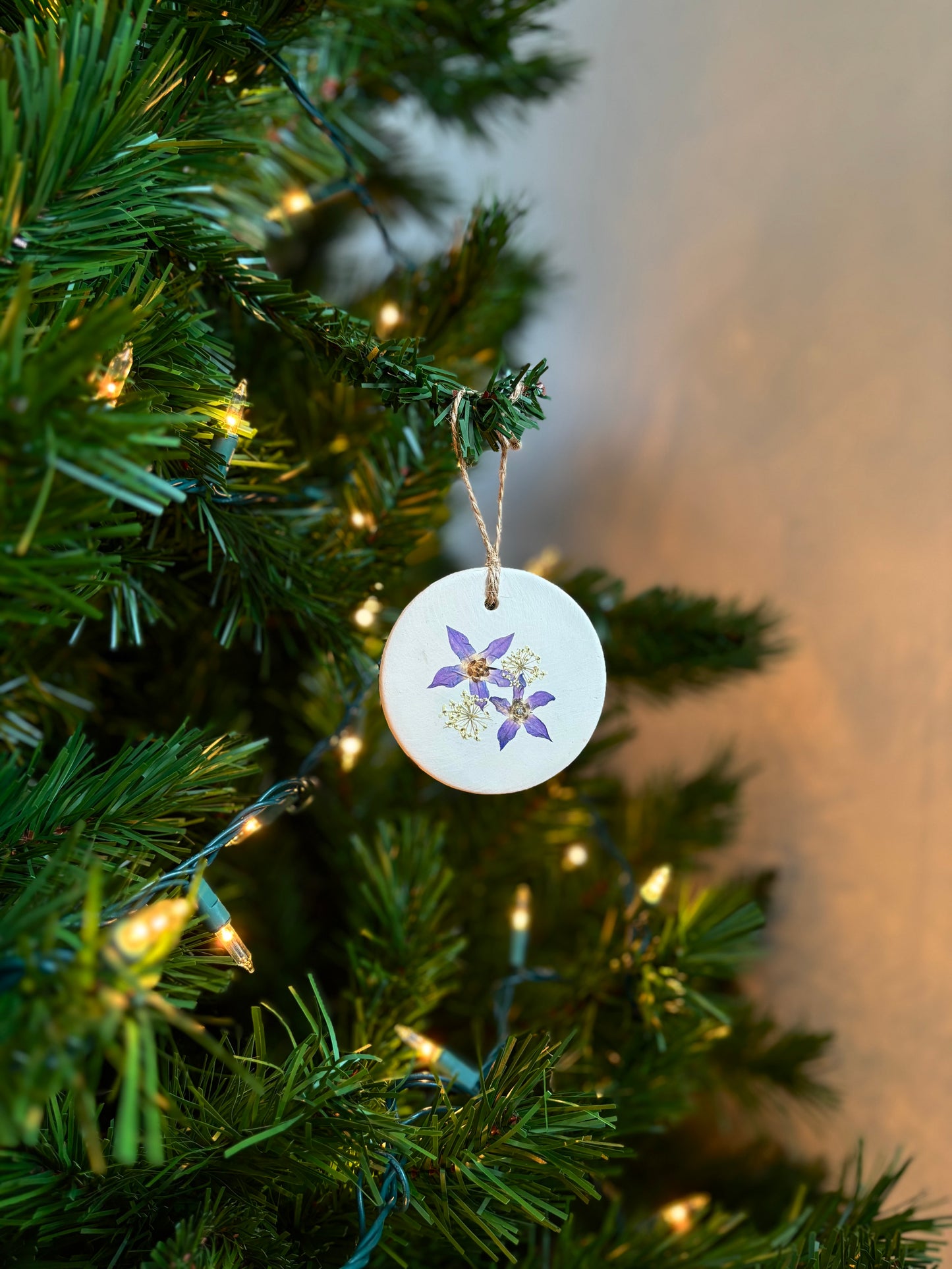 Ornement Fleurs Pressées - Bourrache