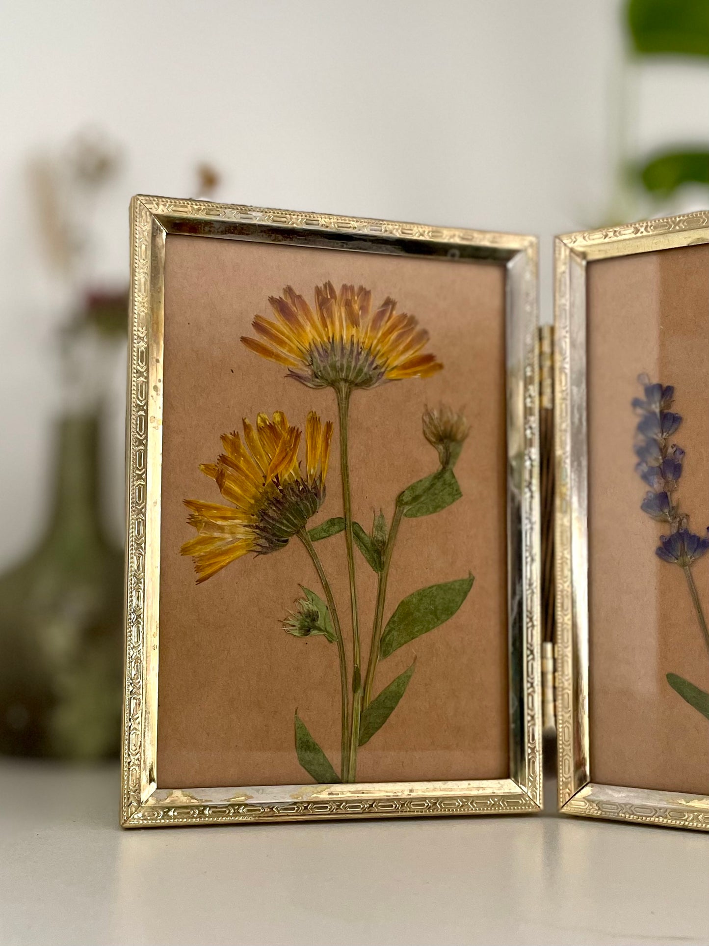 Lavande/Calendule - Cadre de fleurs pressées