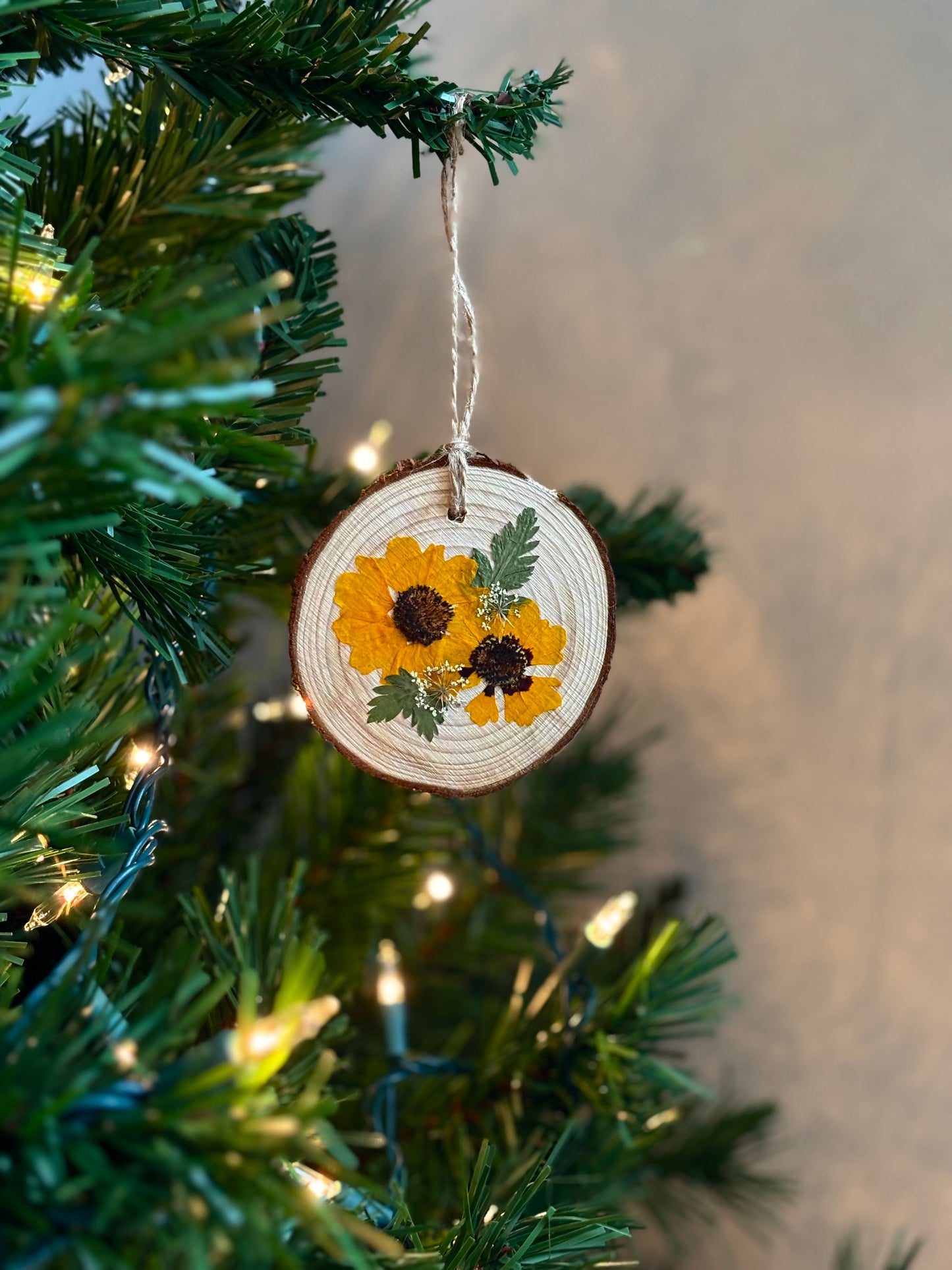 Ornement Fleurs Pressées - Coreopsis