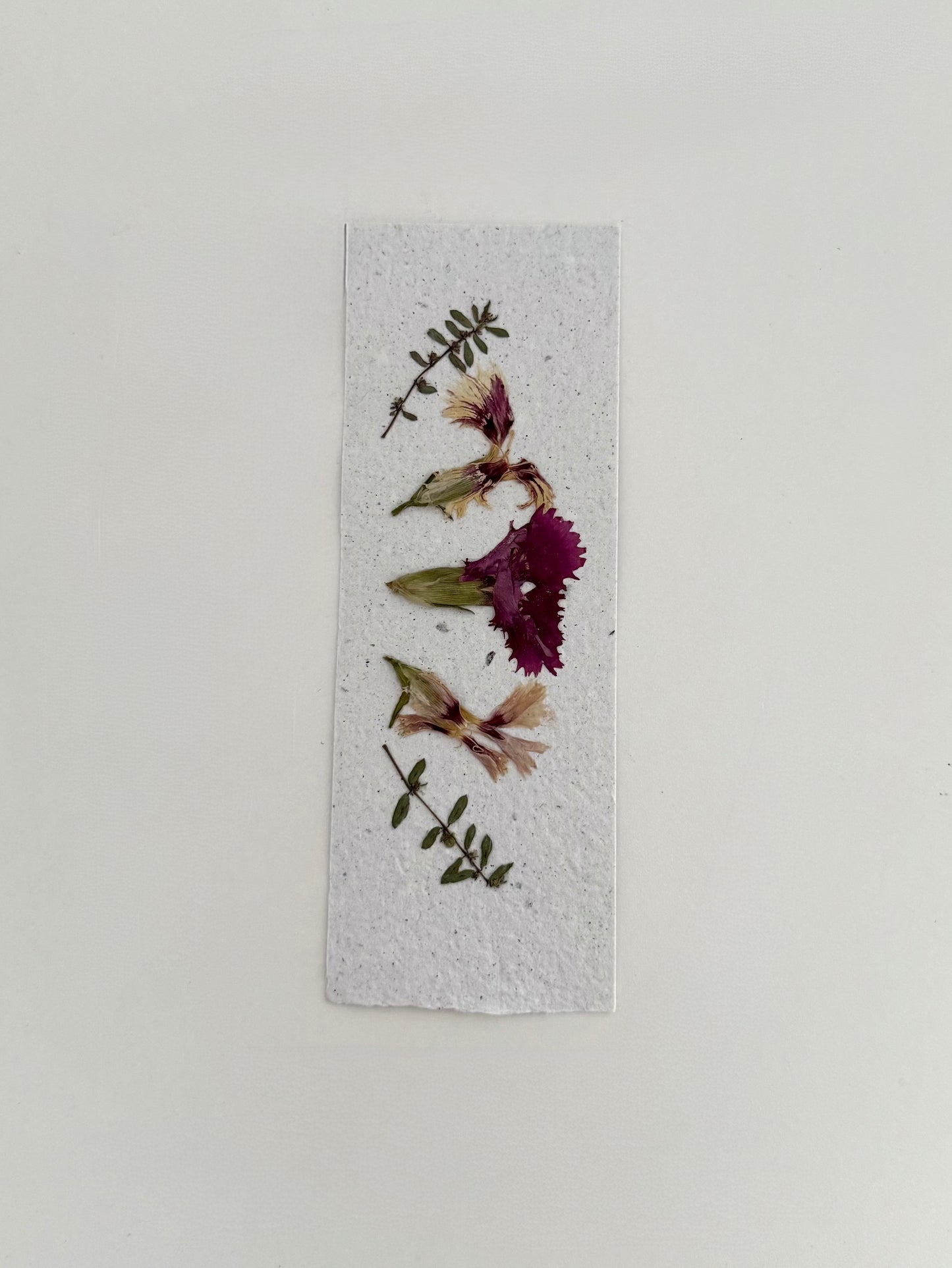 Plantable Bookmark - Carnations