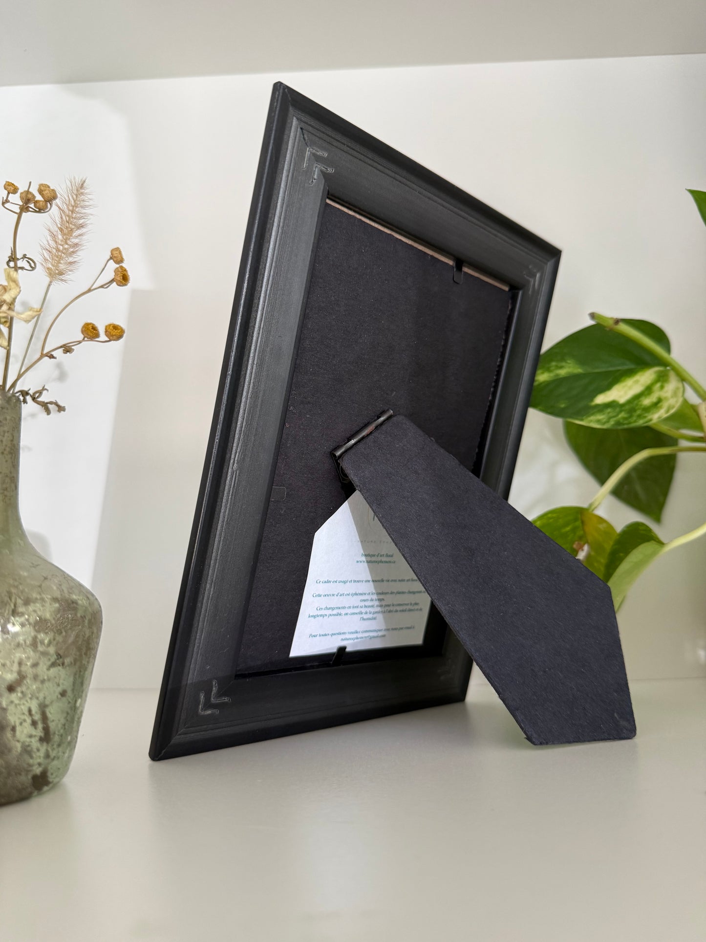 Tulip - Pressed Flower Frame