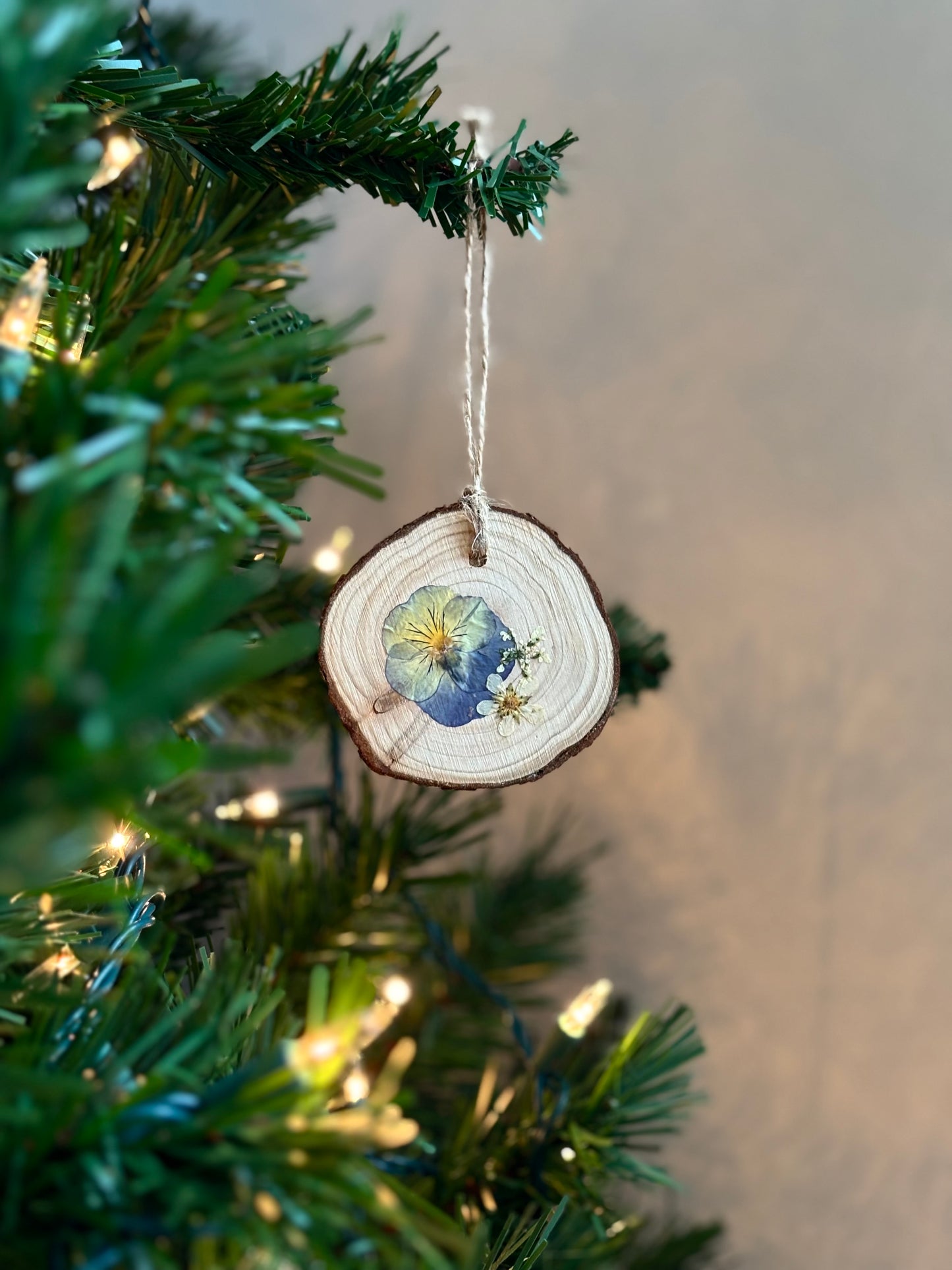 Ornement Fleurs Pressées - Pensée et Fraise