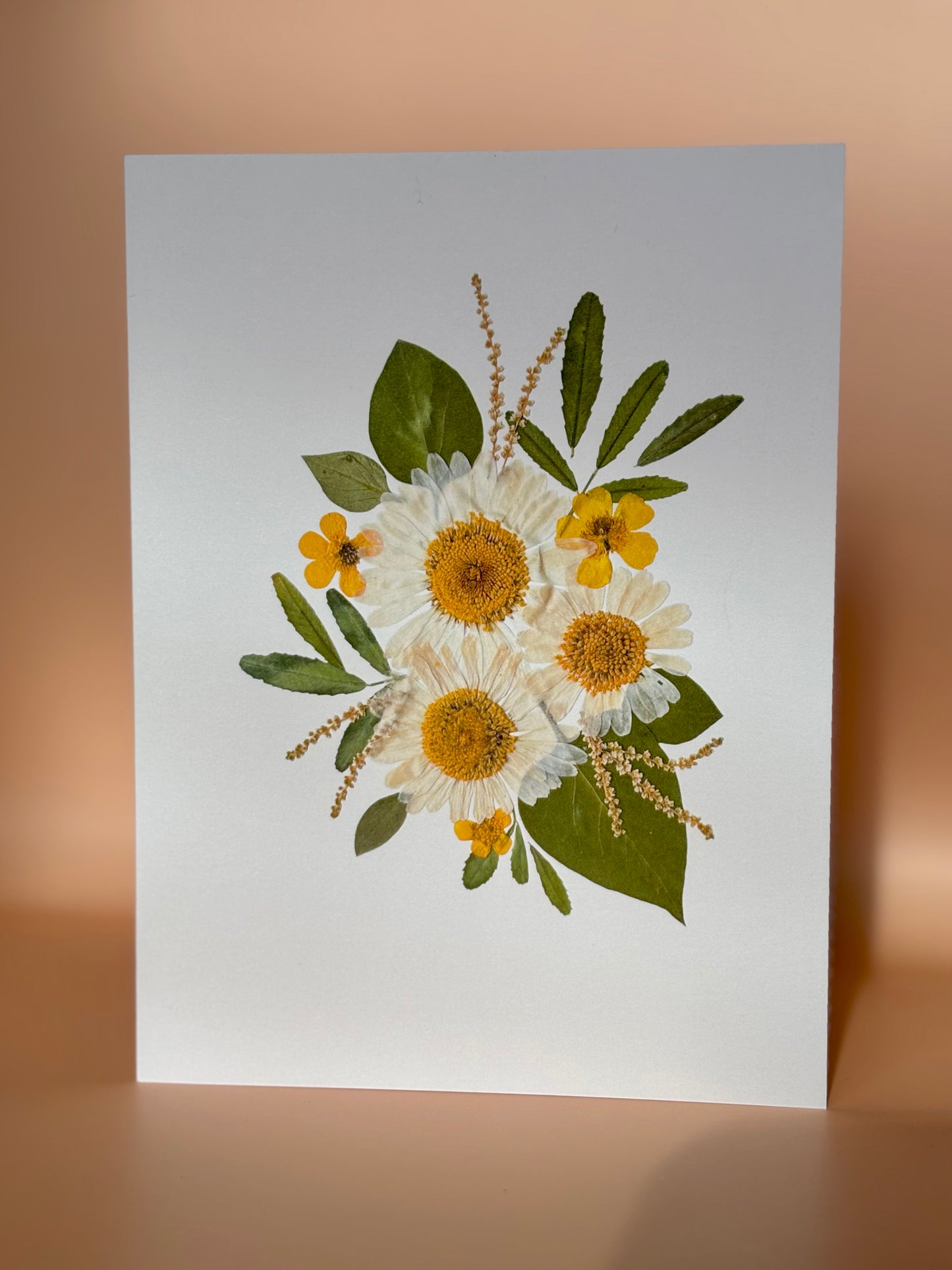 Carte de vœux - Marguerites