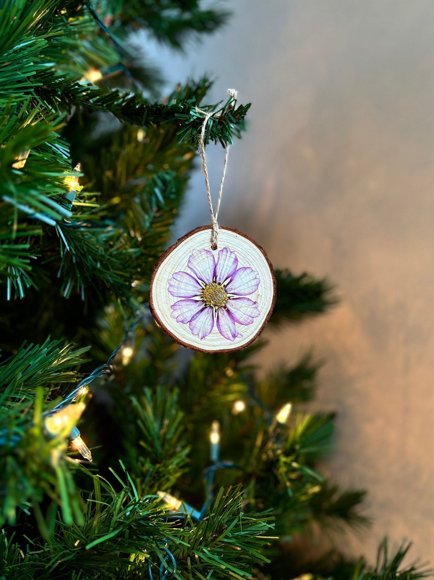 Ornement Fleurs Pressées - Cosmos