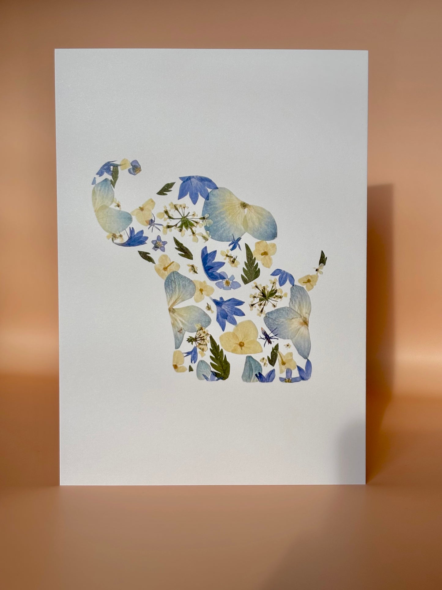 Carte de vœux - Éléphant