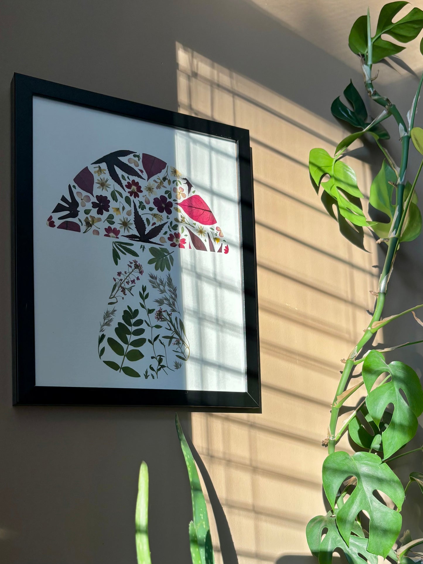 Cadre de Fleurs Pressées - Champignon