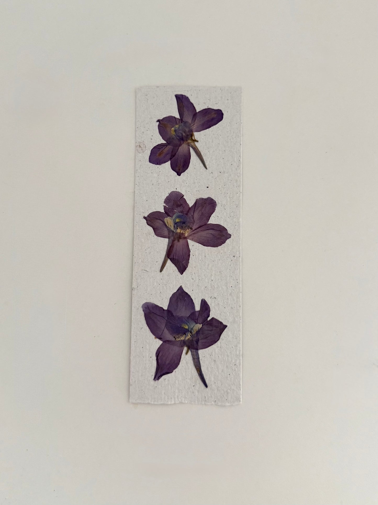 Delphiniums - Plantable Bookmark