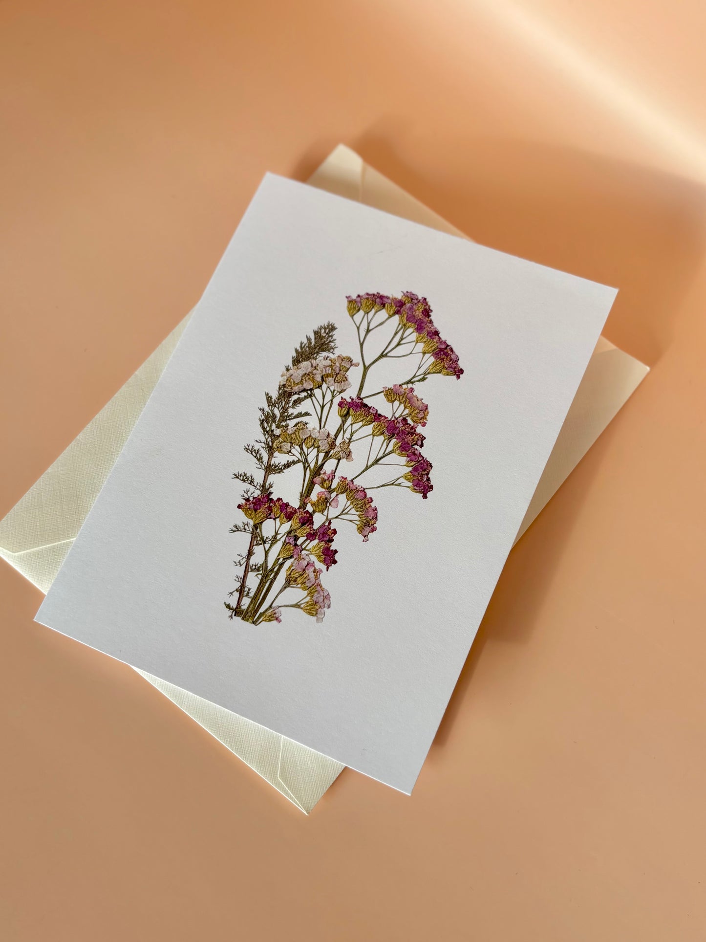 Carte de vœux - Achillée