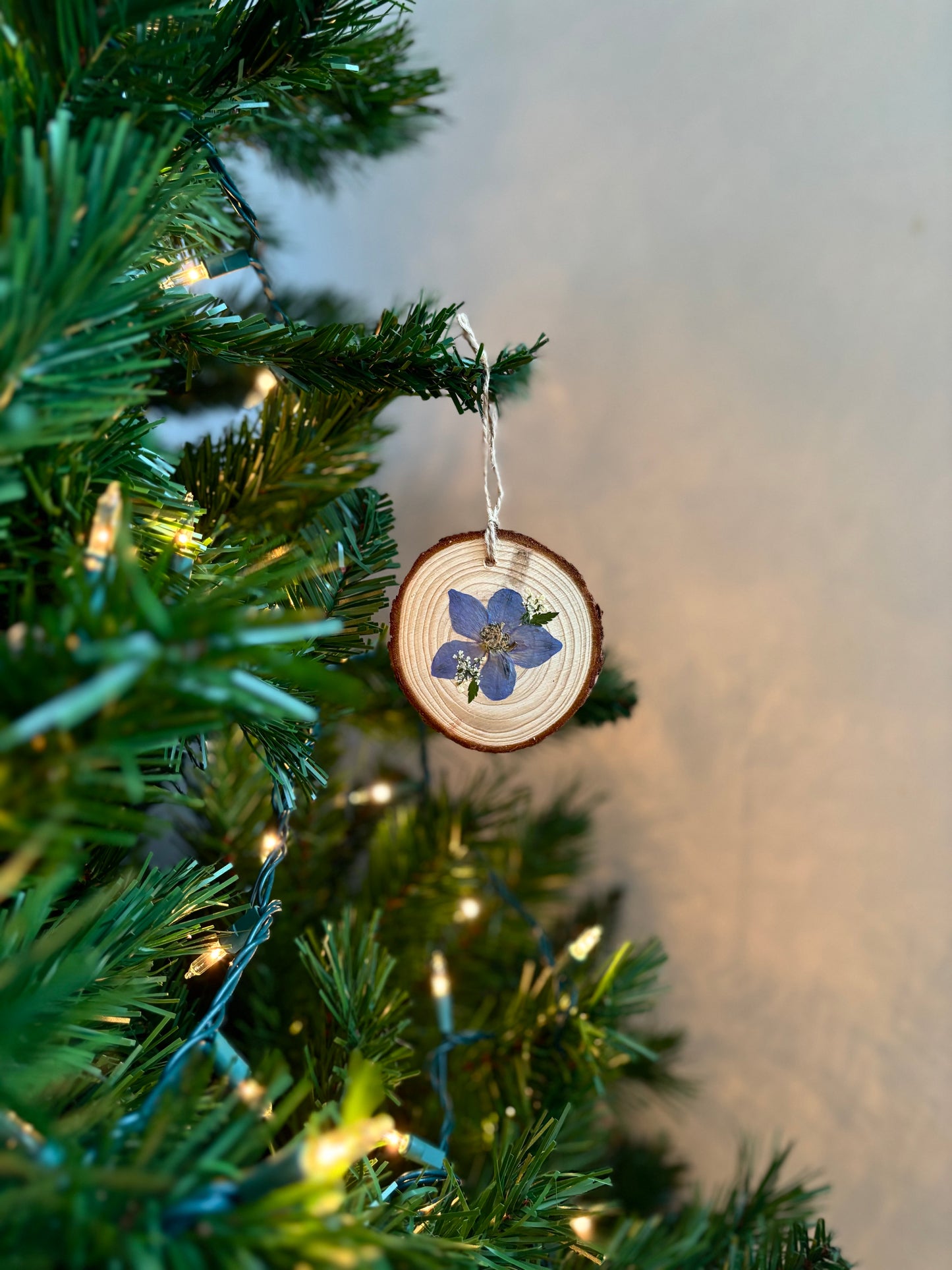 Ornement Fleurs Pressées - Delphinium