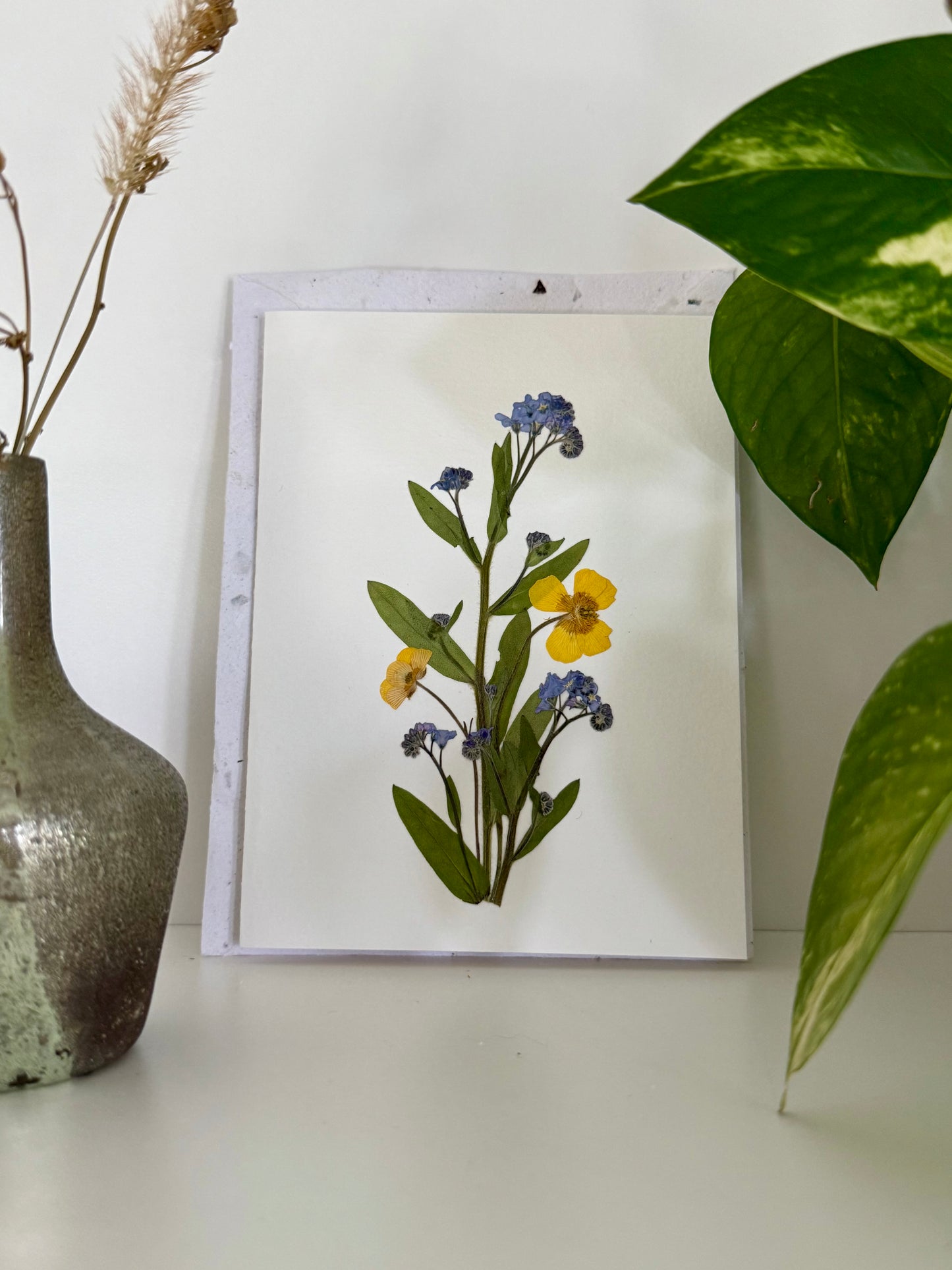 Myosotis Buttercup - Carte de Voeux de Fleurs Pressées