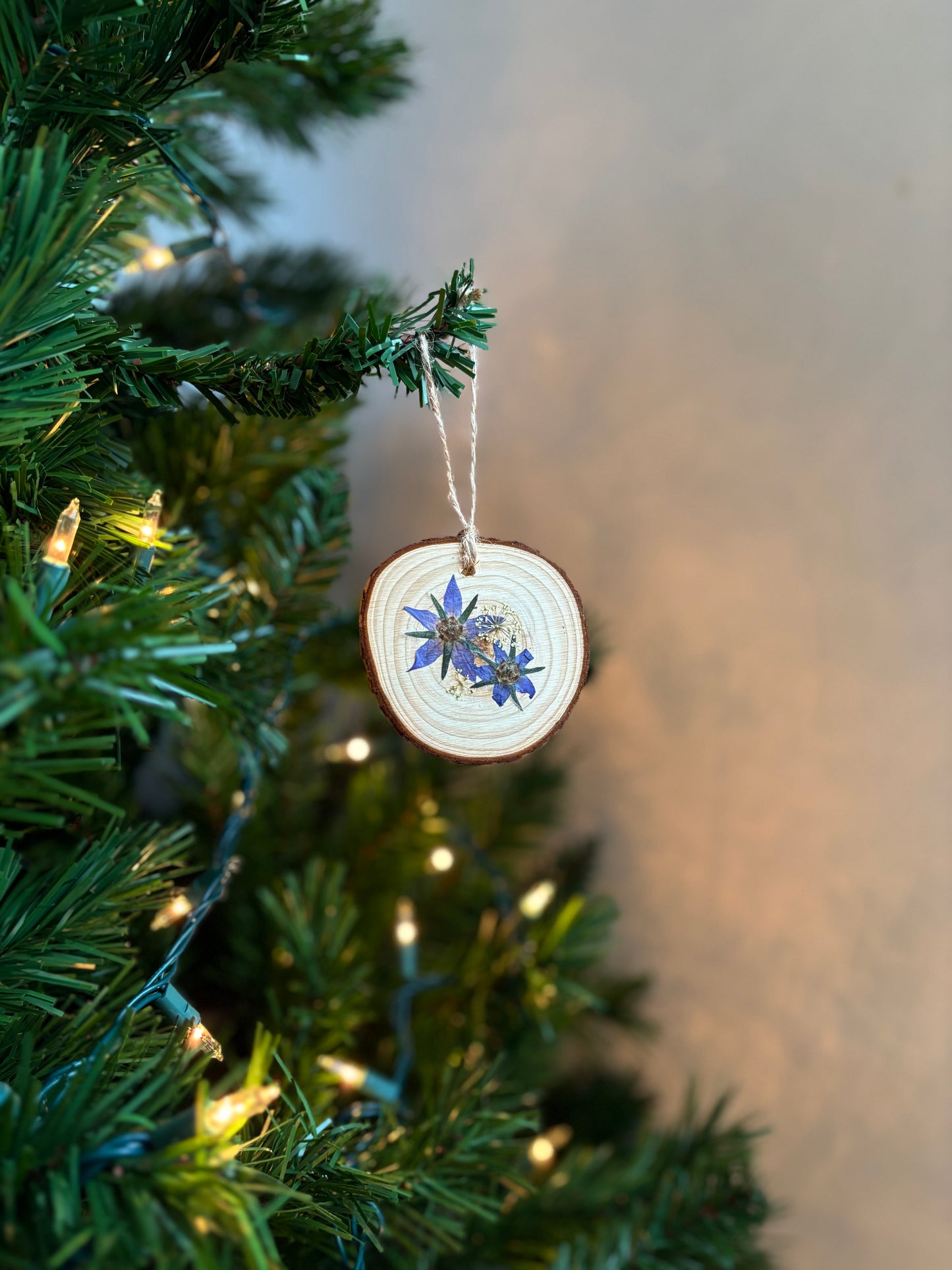 Ornement Fleurs Pressées - Bourraches