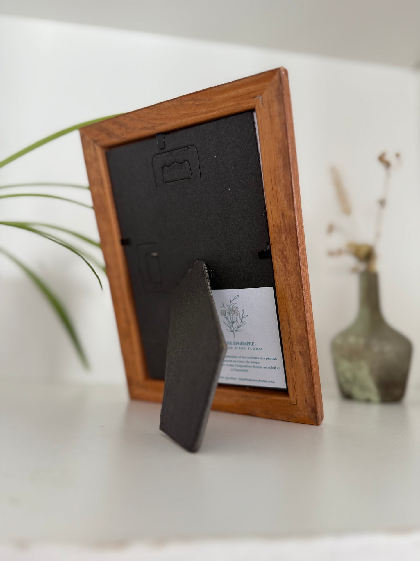 Sulphur Cosmos - Pressed Flower Frame