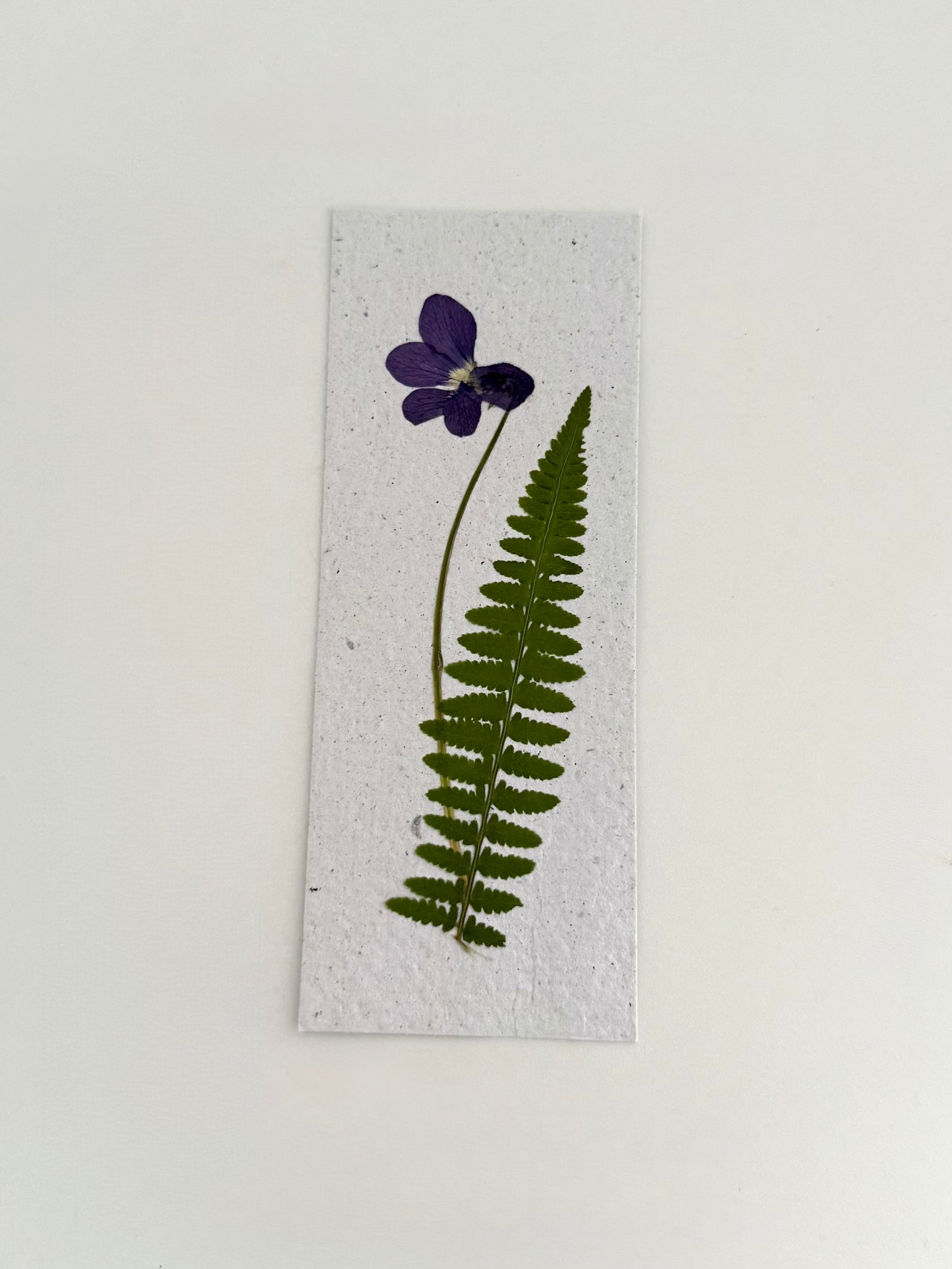 Violet Fern - Plantable Bookmark
