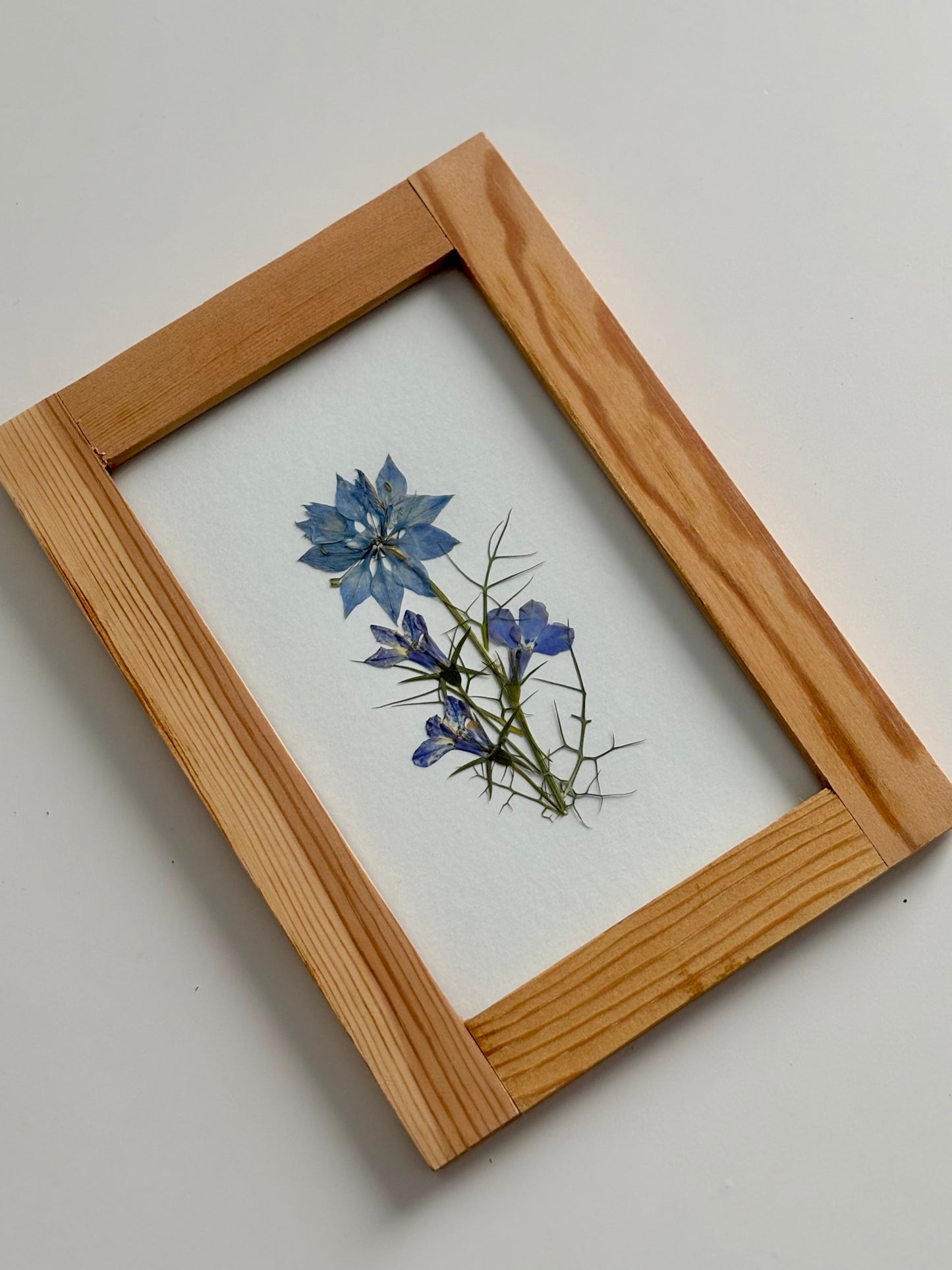 Bouquet Lobélies et Nigelle - Cadre de Fleurs Pressées