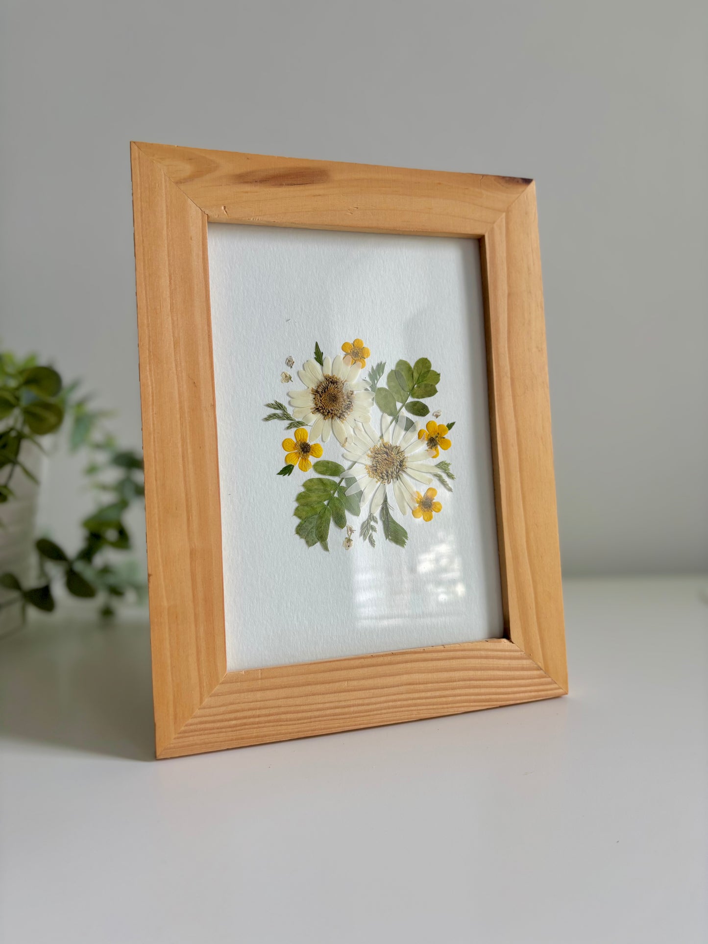 Marguerites - Cadre de Fleurs Pressées