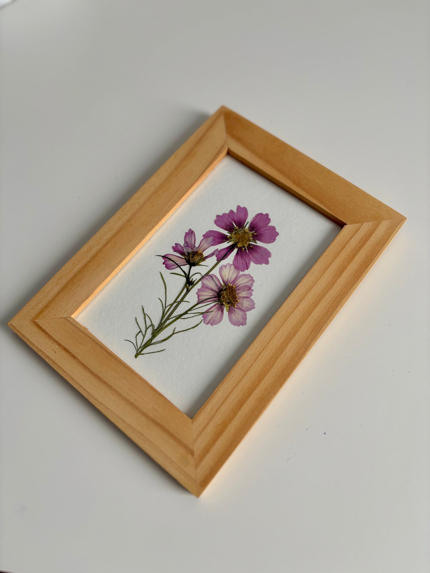 Petit Bouquet Cosmos - Cadre de Fleurs Pressées