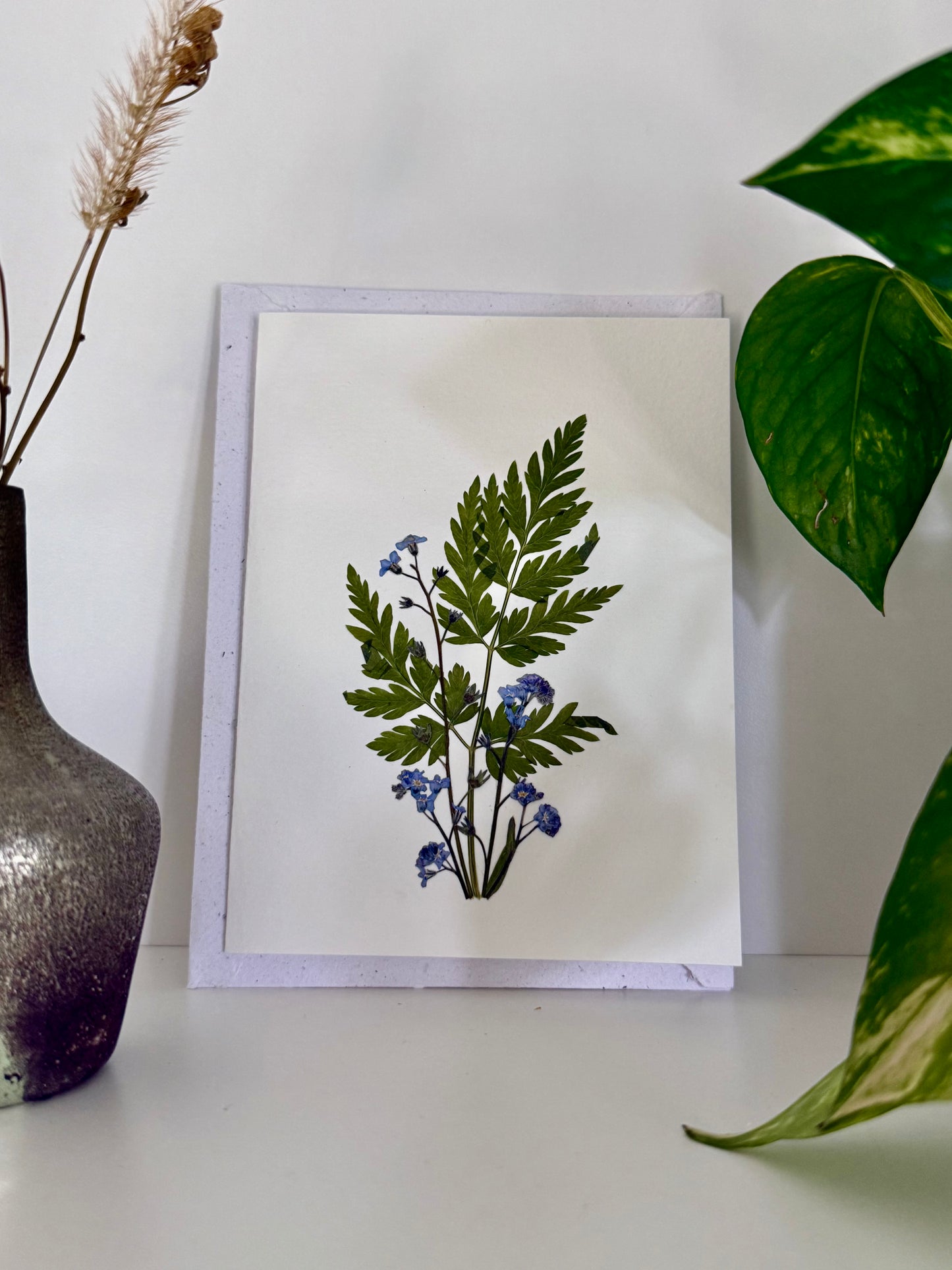 Myosotis Chervil - Pressed Flower Greeting Card