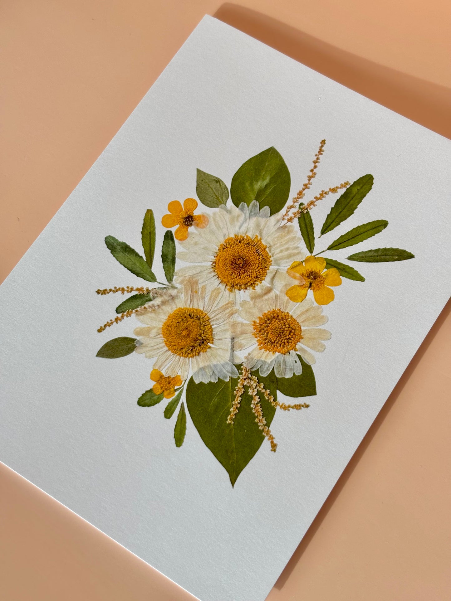 Carte de vœux - Marguerites