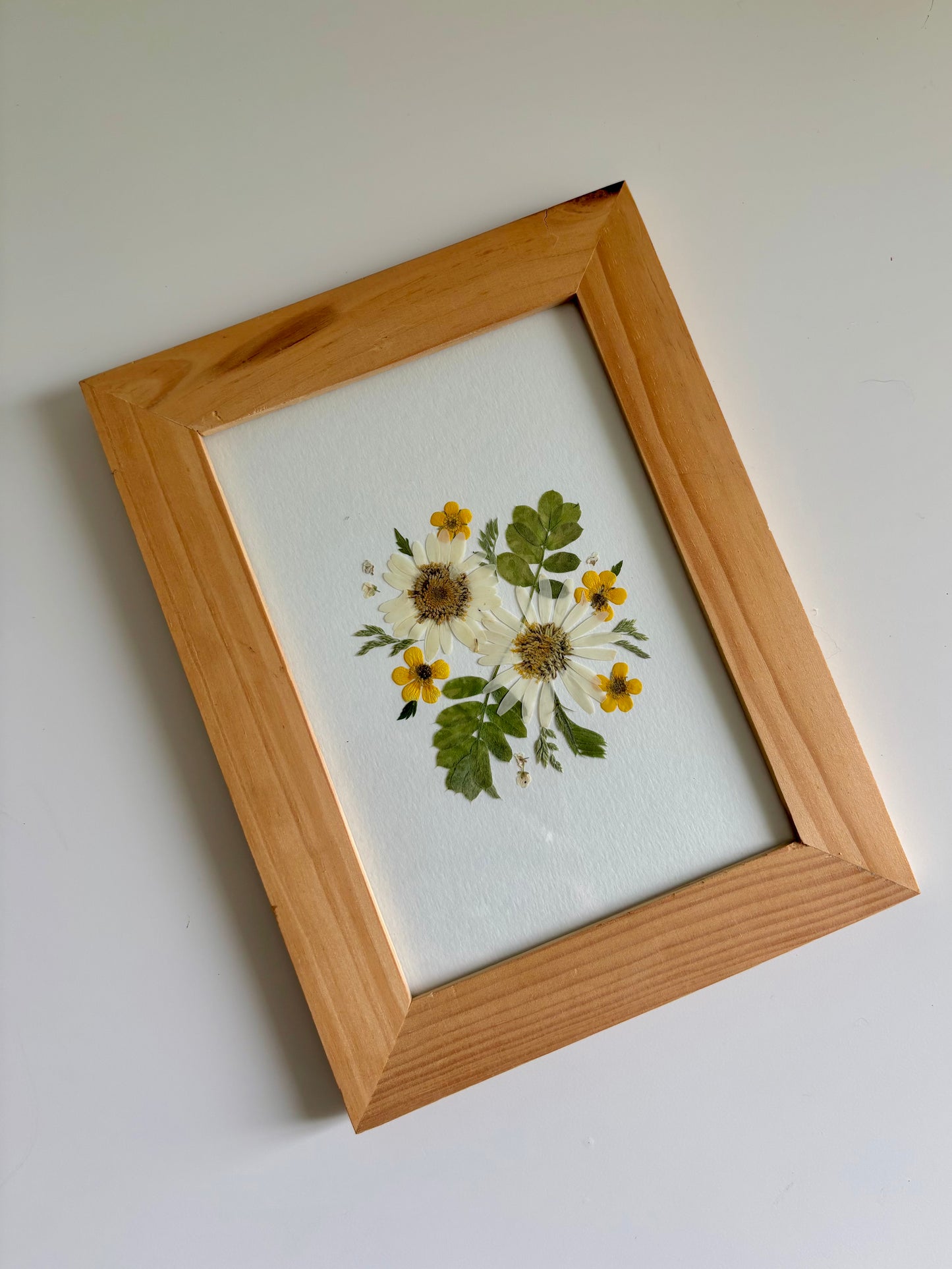 Marguerites - Cadre de Fleurs Pressées