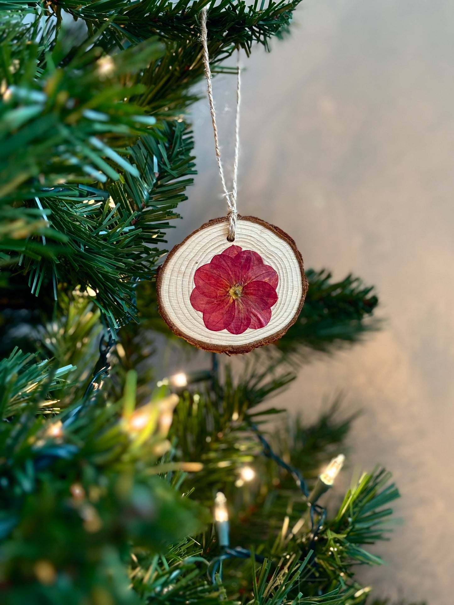 Ornement Fleurs Pressées - Dahlia