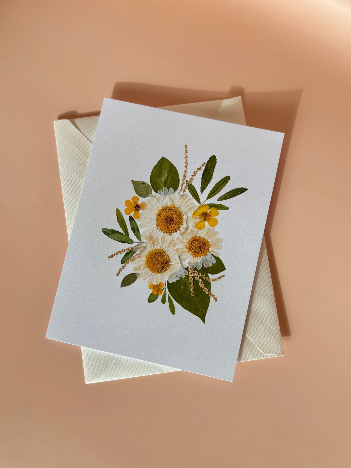 Carte de vœux - Marguerites