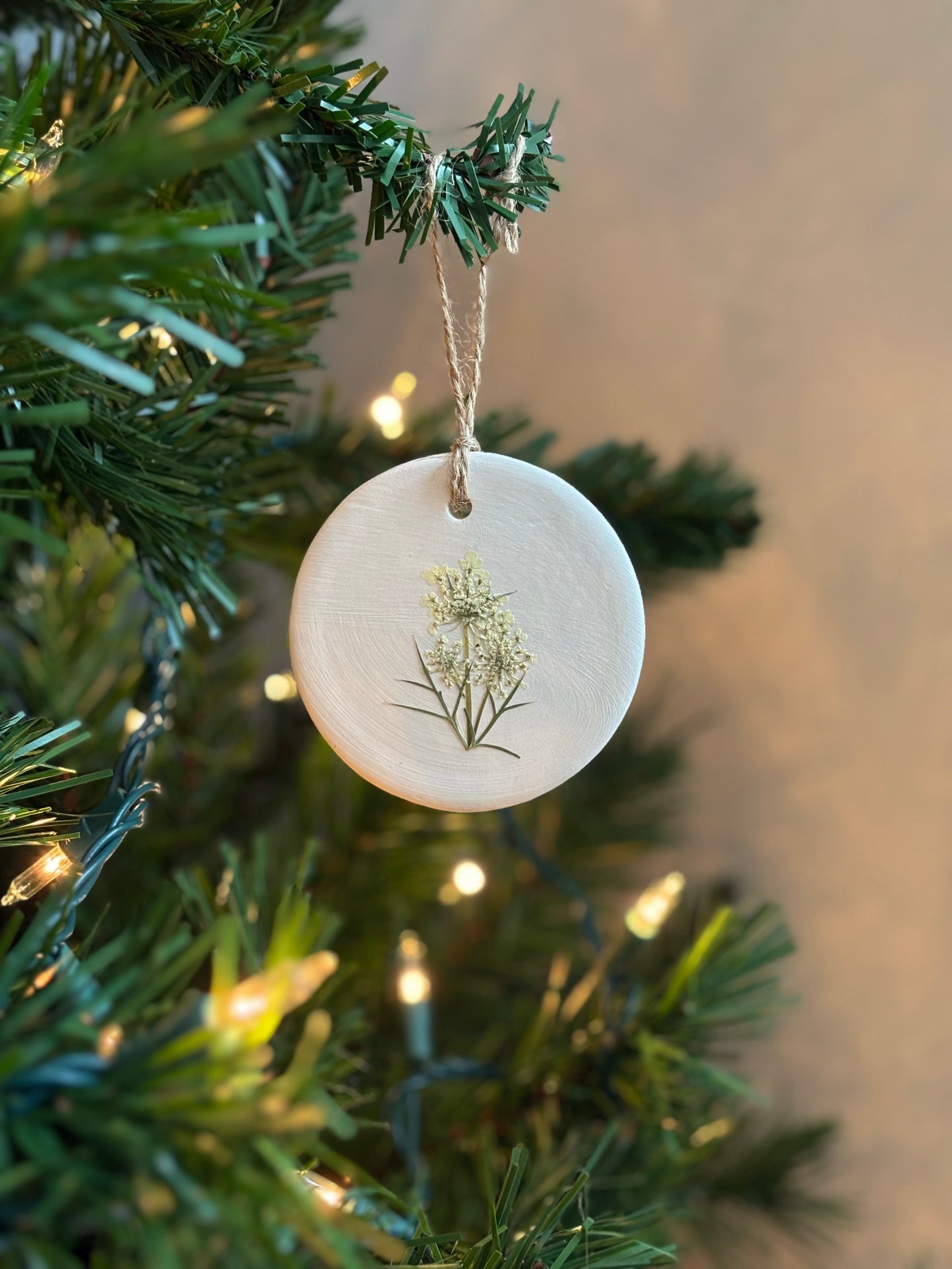 Ornement Fleurs Pressées - Carotte Sauvage