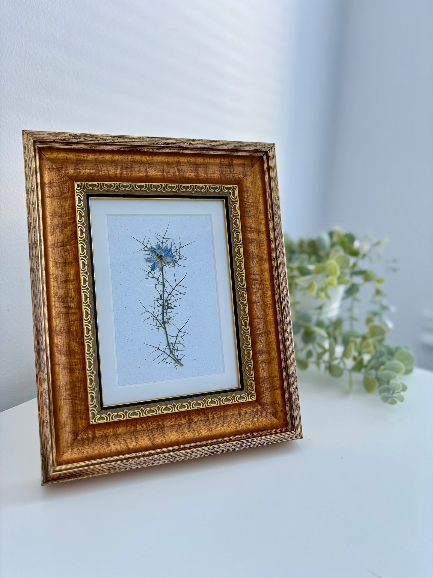 Nigelle - Cadre de Fleurs Pressées