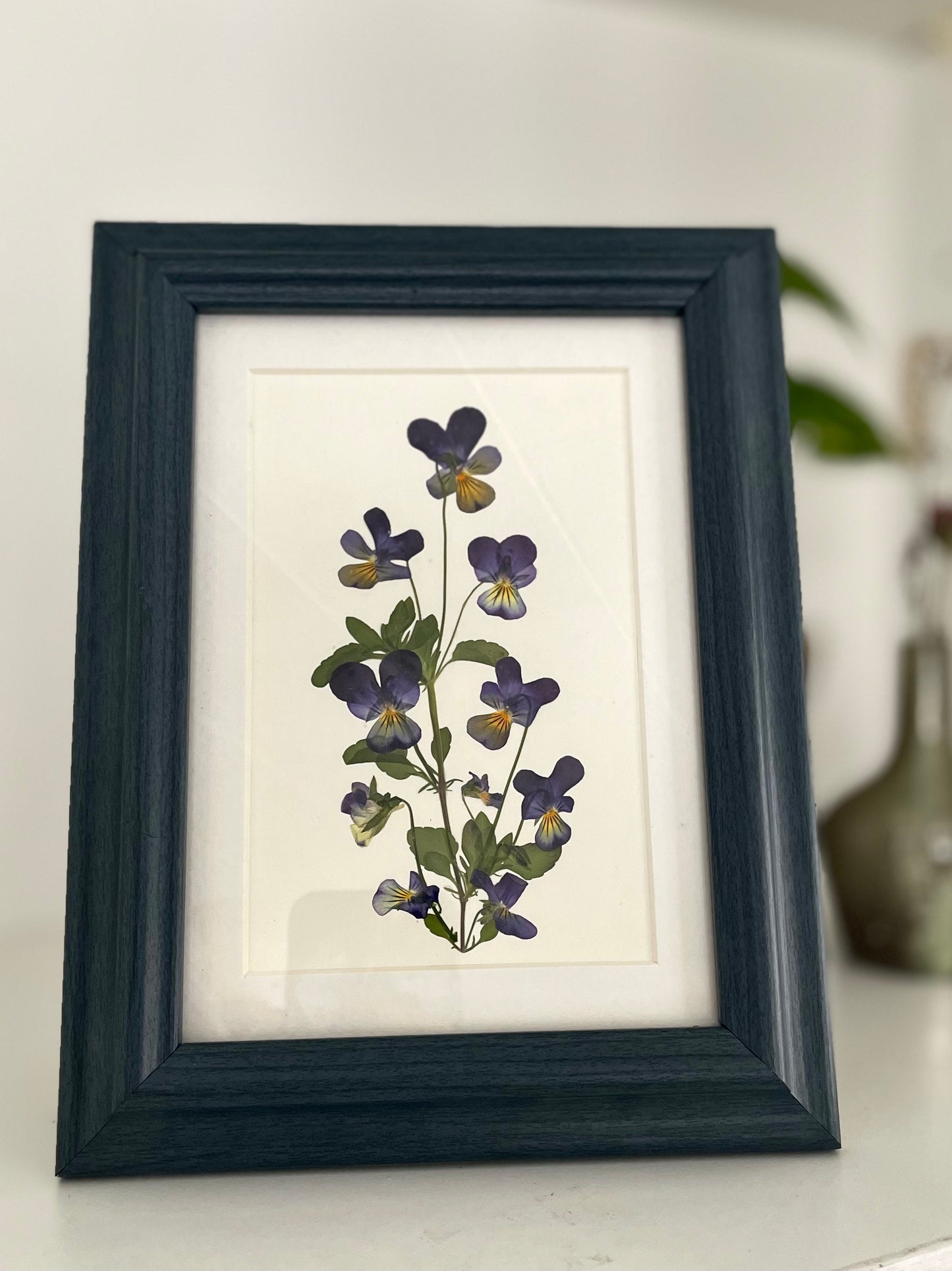Pensées Bleues - Cadre de Fleurs Pressées