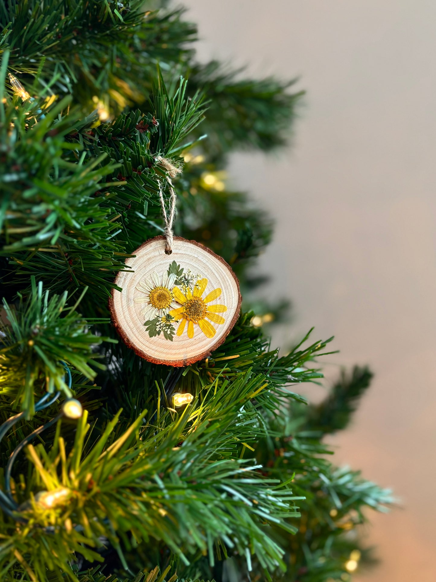 Ornement Fleurs Pressées - Marguerites