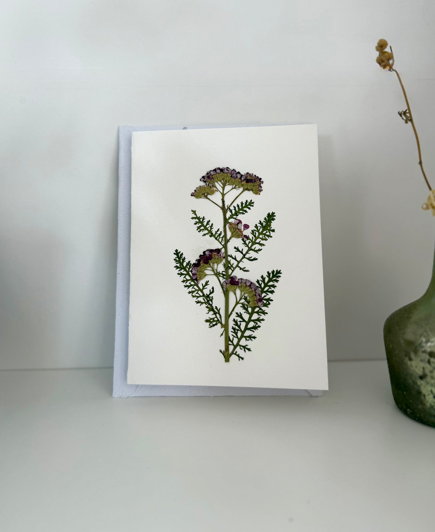Achillée Rouge - Carte de Voeux de Fleurs Pressées