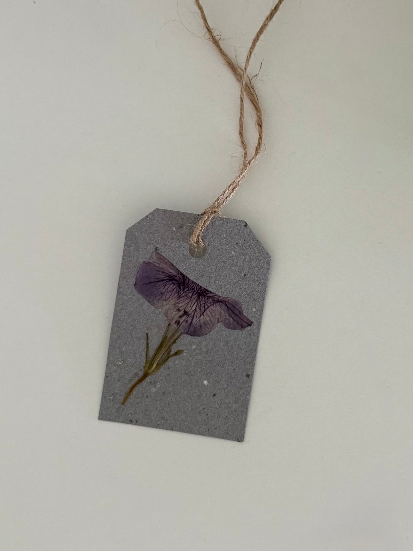 Plantable Gift Tag - Mauve