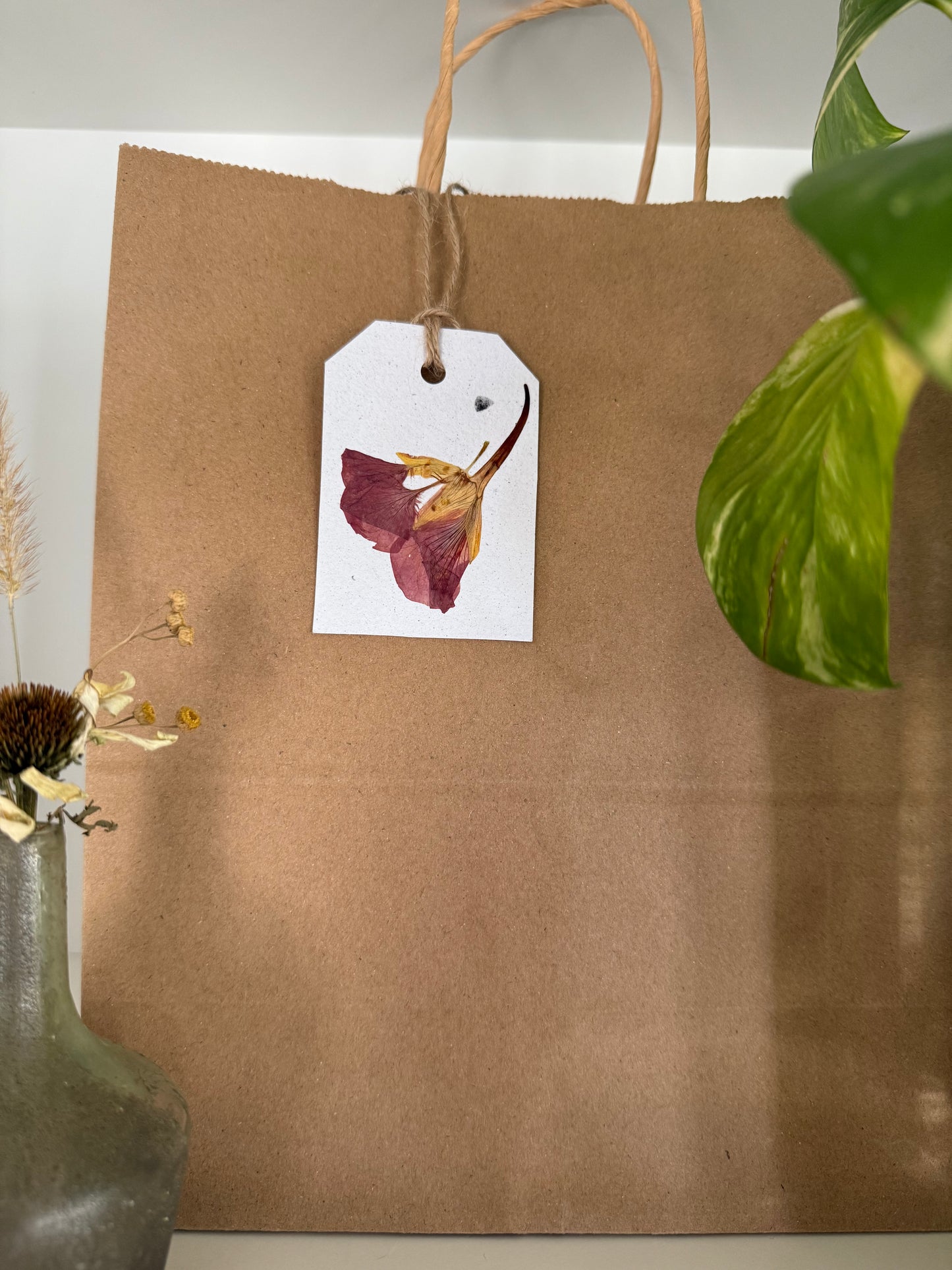 Plantable Gift Tag - Nasturtium