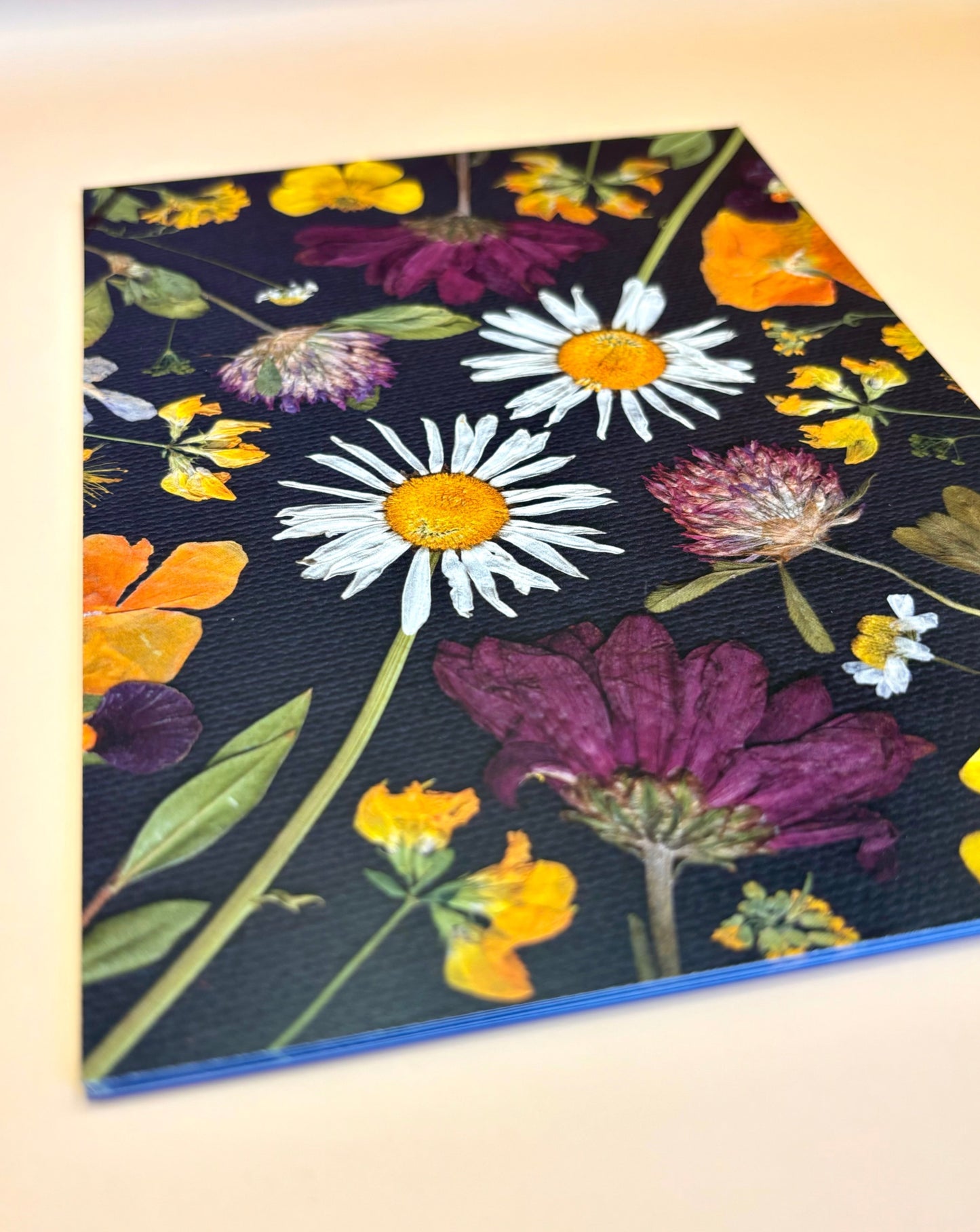 Affiche Florale - Marguerites