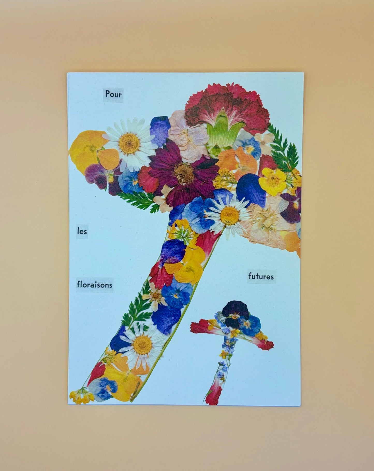 Affiche Florale - Champignons