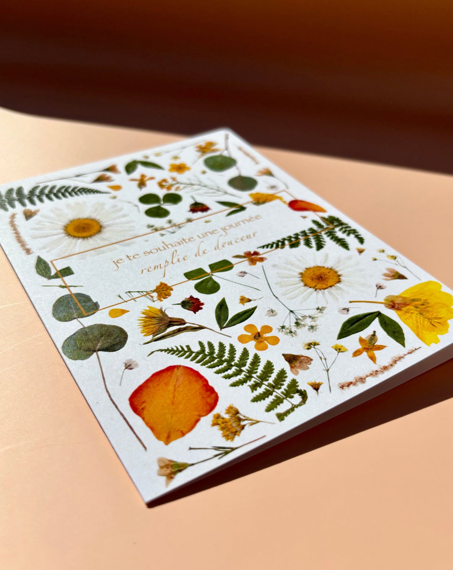 Carte de vœux - Je te souhaite une journée remplie de douceur