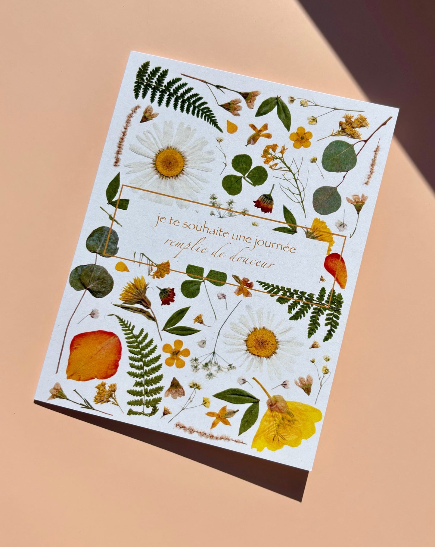 Carte de vœux - Je te souhaite une journée remplie de douceur