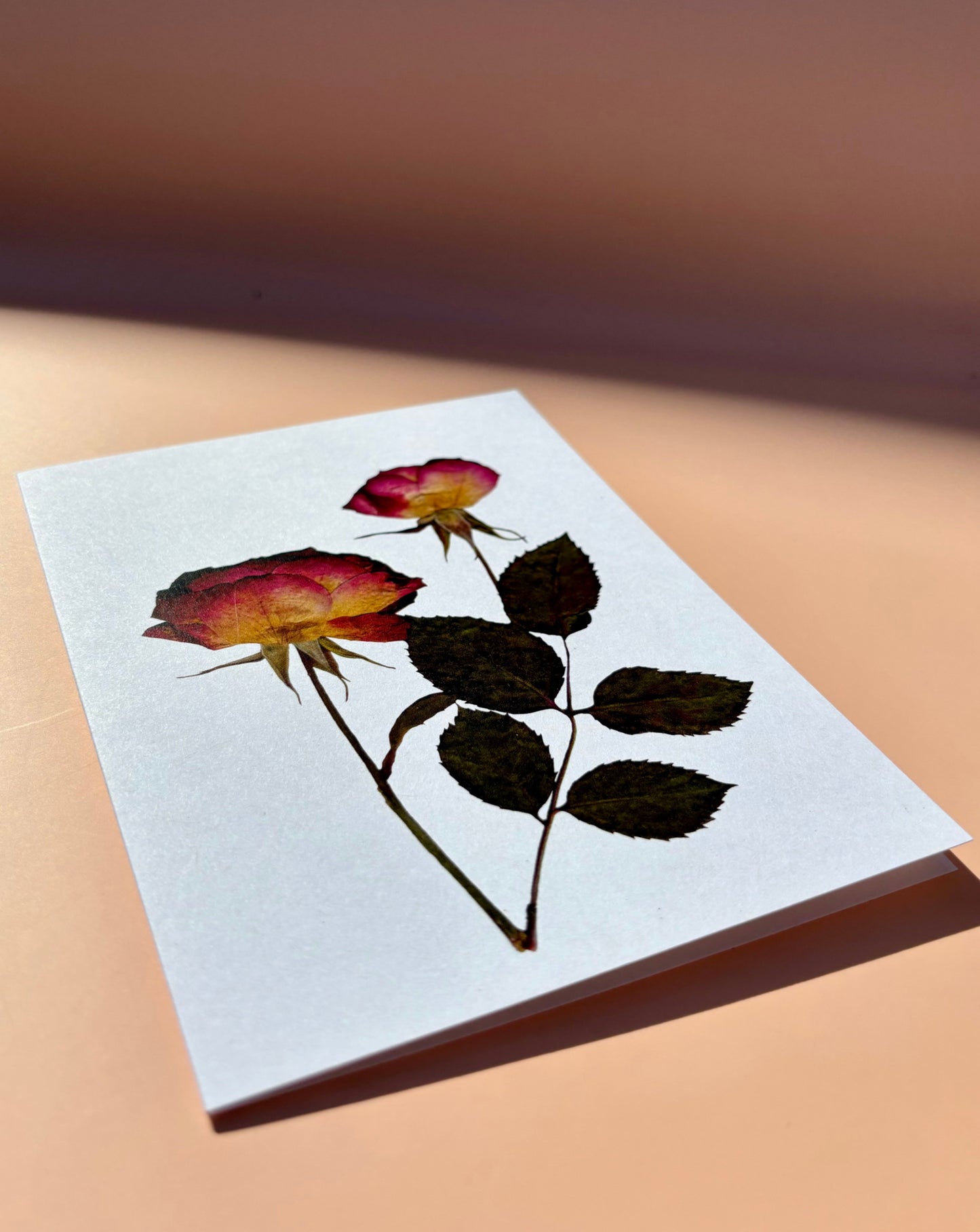 Carte de vœux - Roses