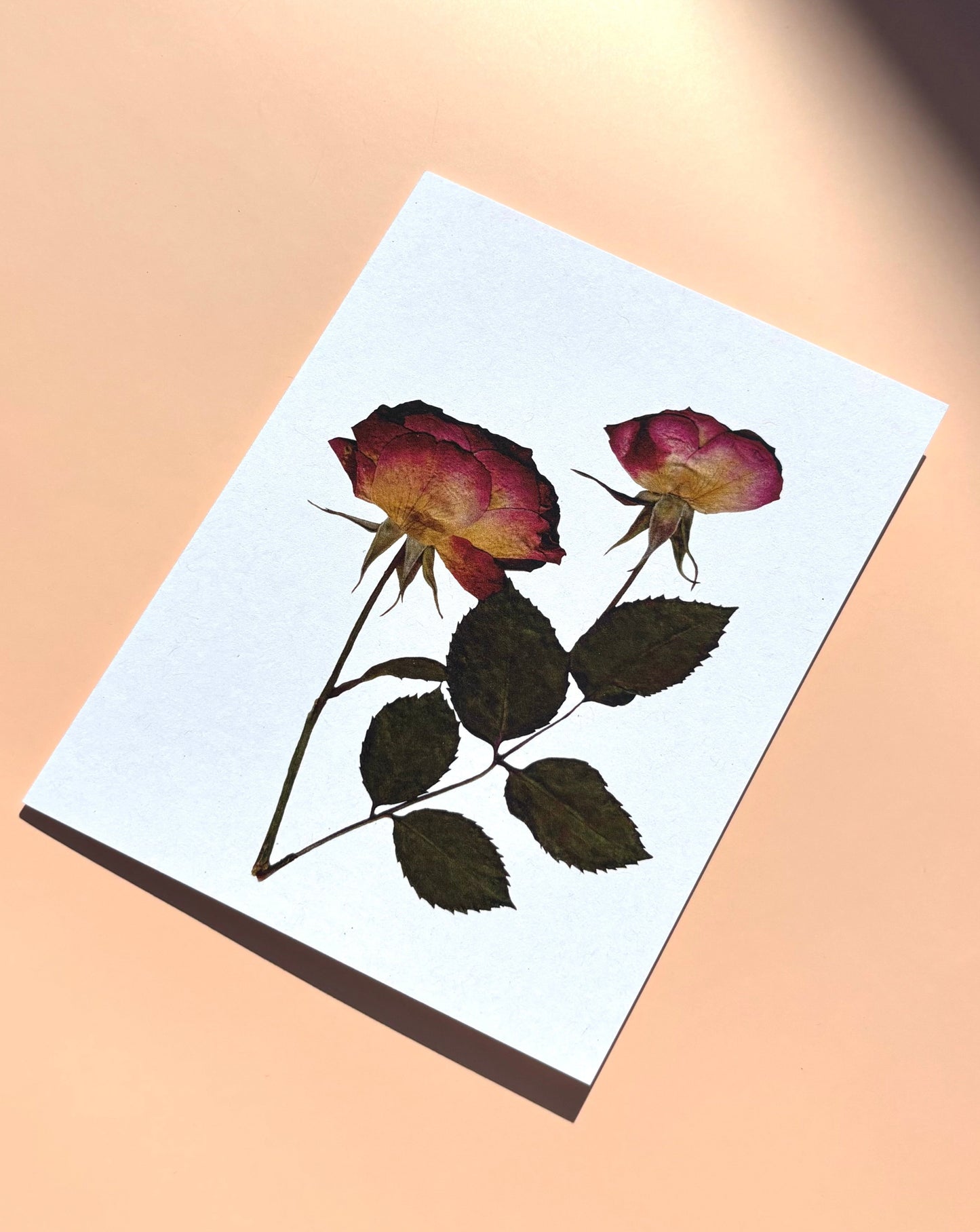 Carte de vœux - Roses