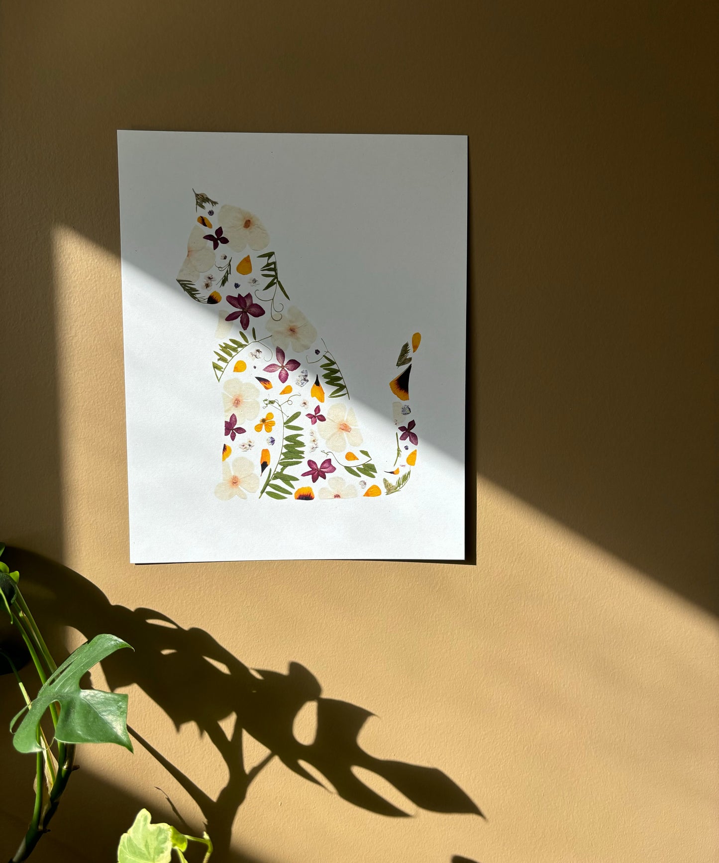 Affiche Florale - Chat Fleurs Pressées