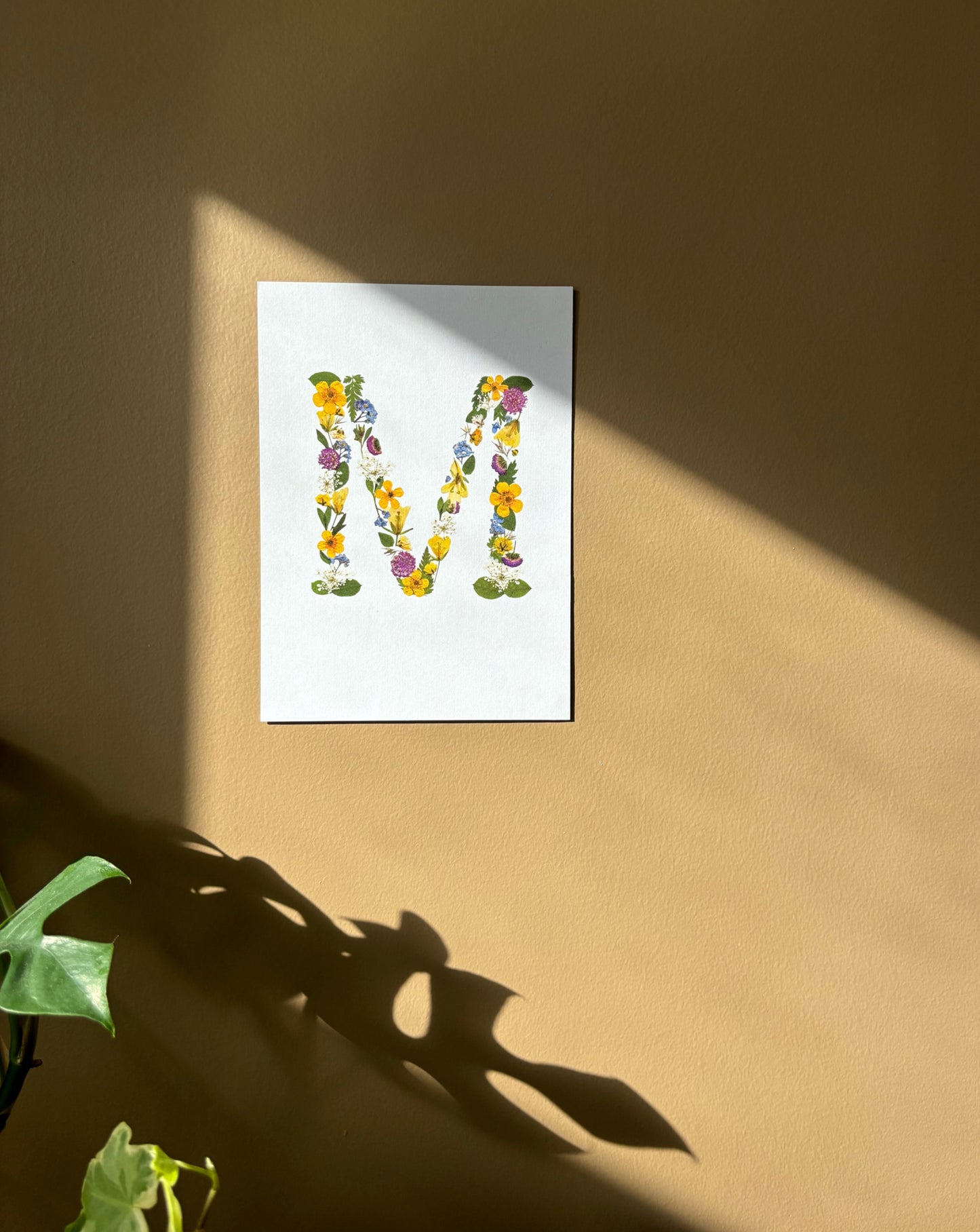 Affiche Florale - M