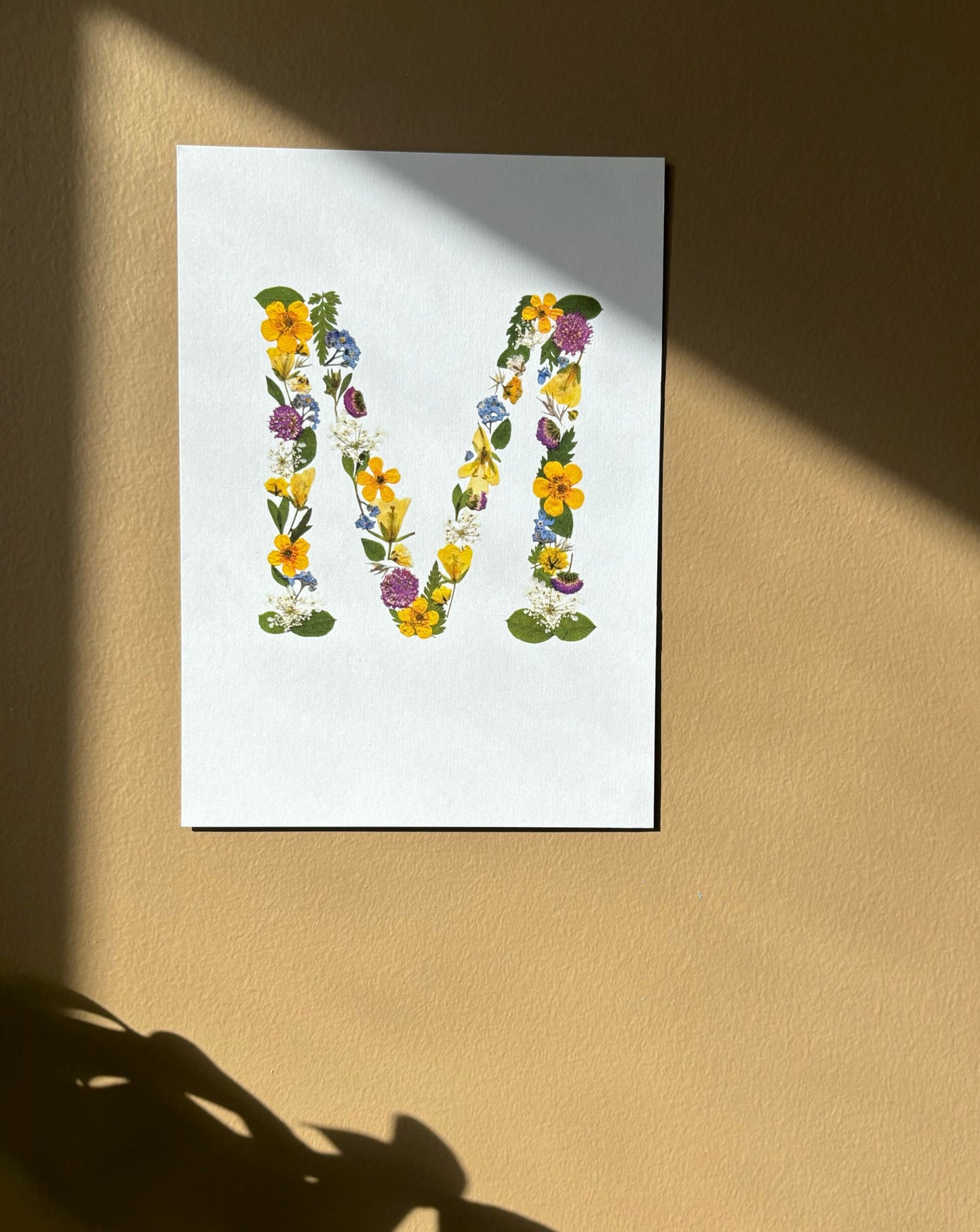 Affiche Florale - M