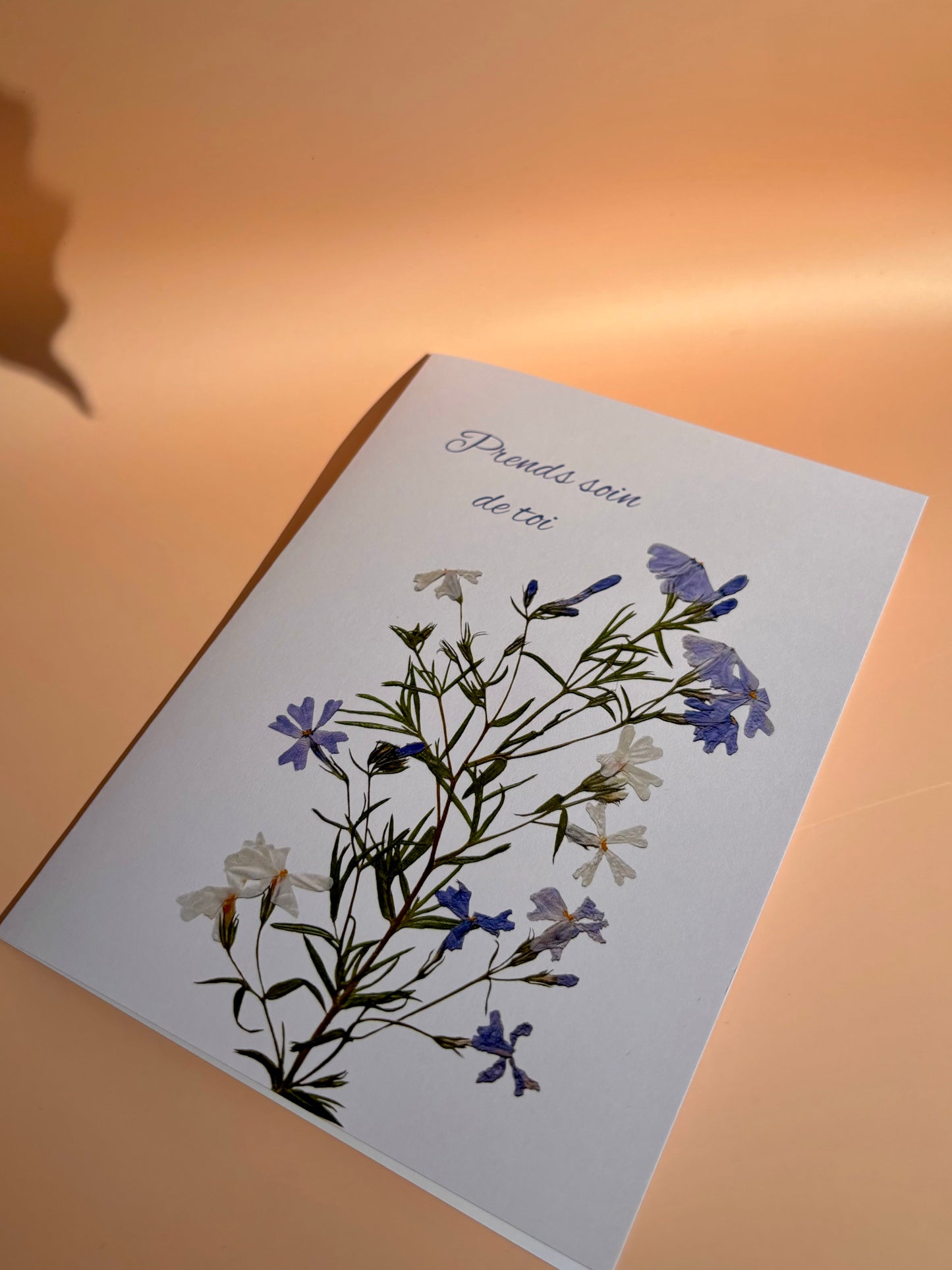 Carte de vœux - Phlox Prend Soin De Toi