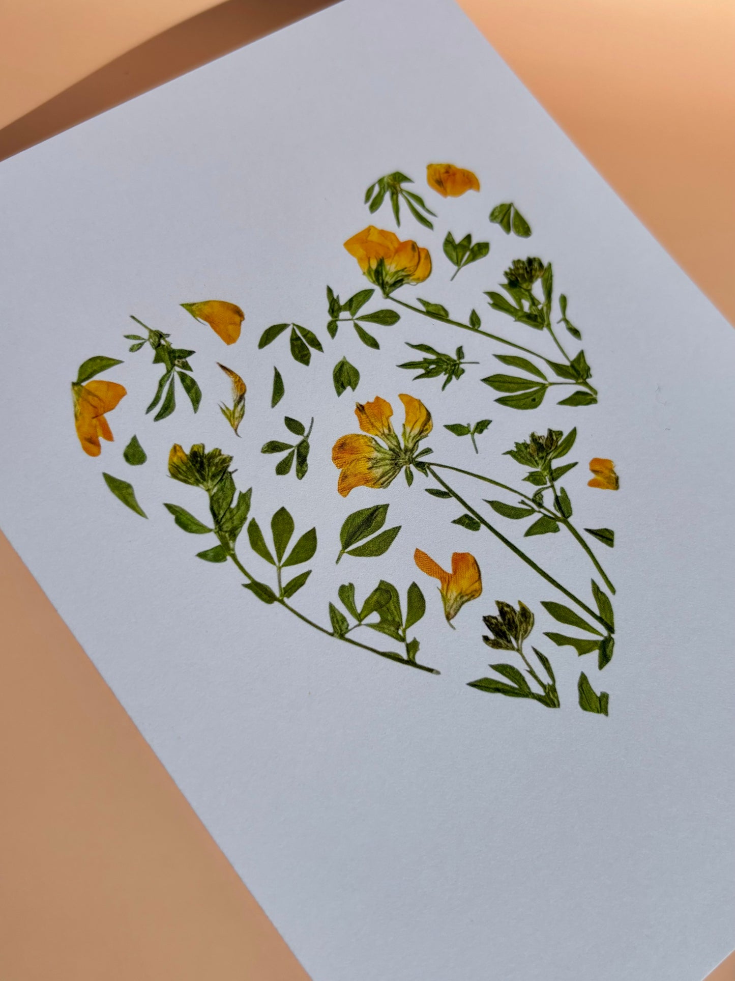 Carte de vœux - Cœur Lotier Corniculé