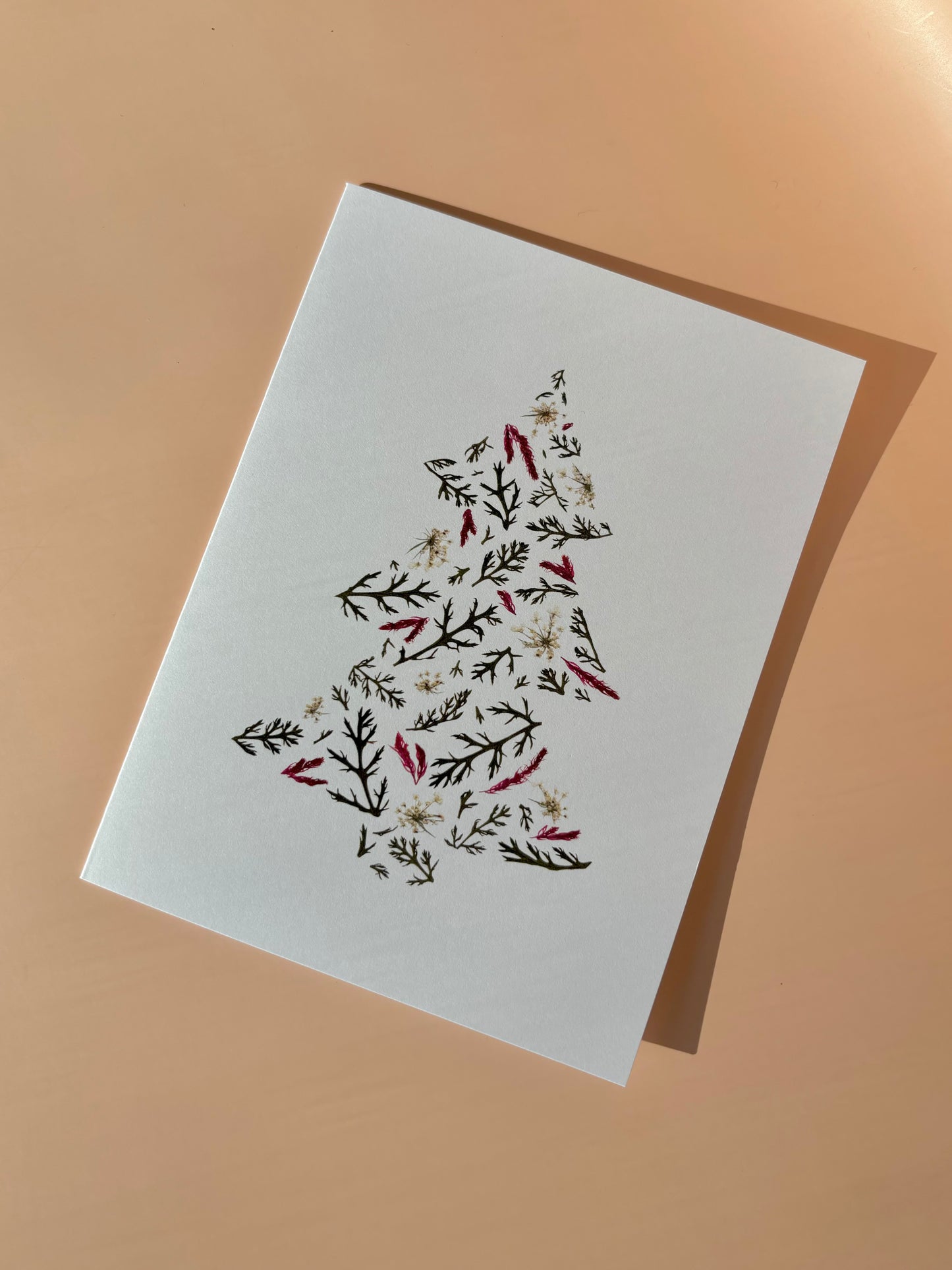 Carte de vœux - Sapin de Noël