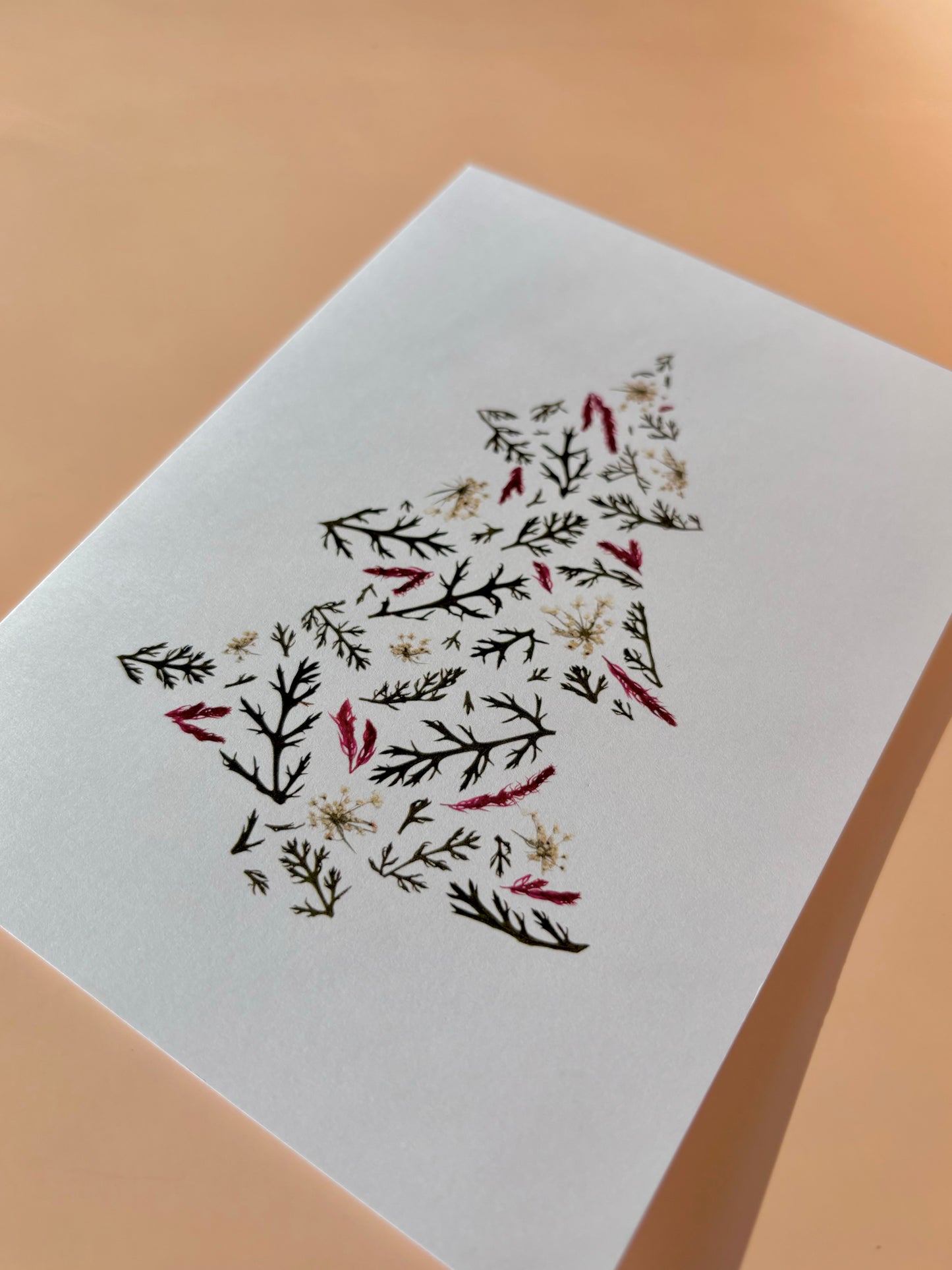 Carte de vœux - Sapin de Noël