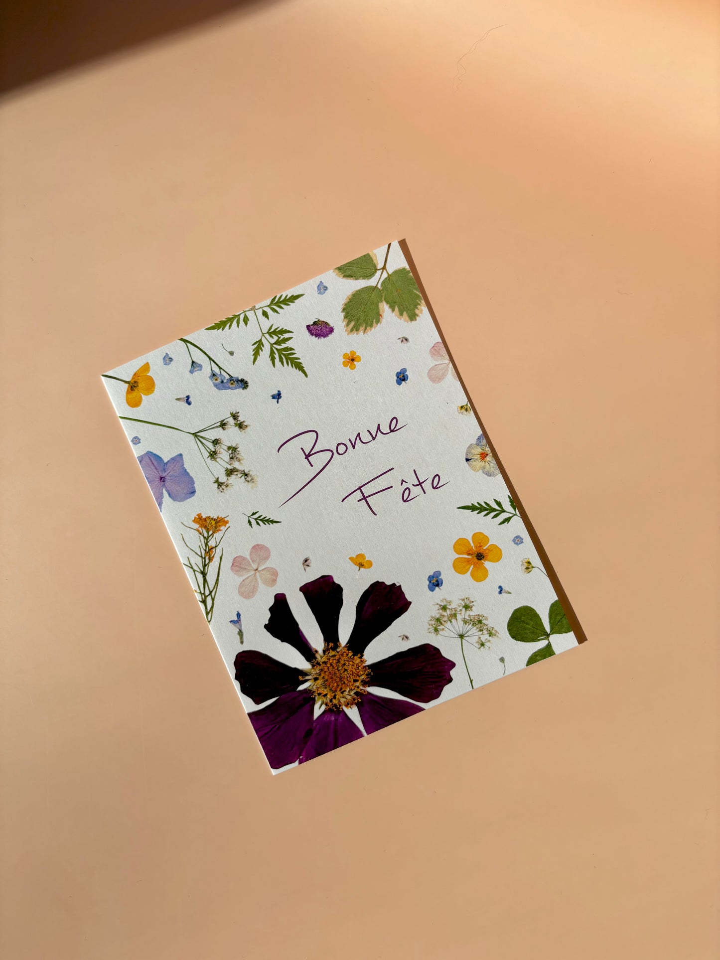 Carte de vœux - Bonne Fête