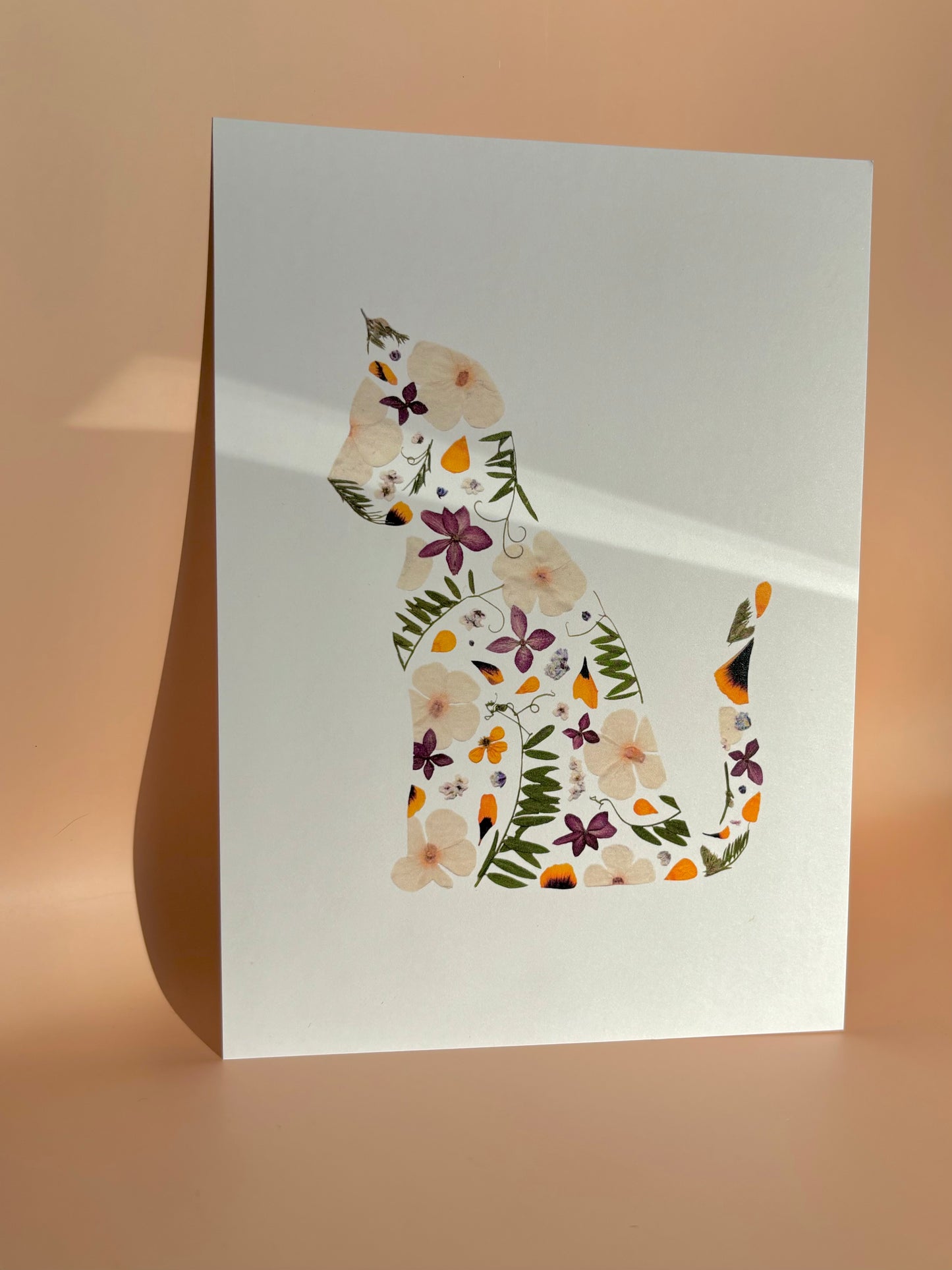 Affiche Florale - Chat Fleurs Pressées